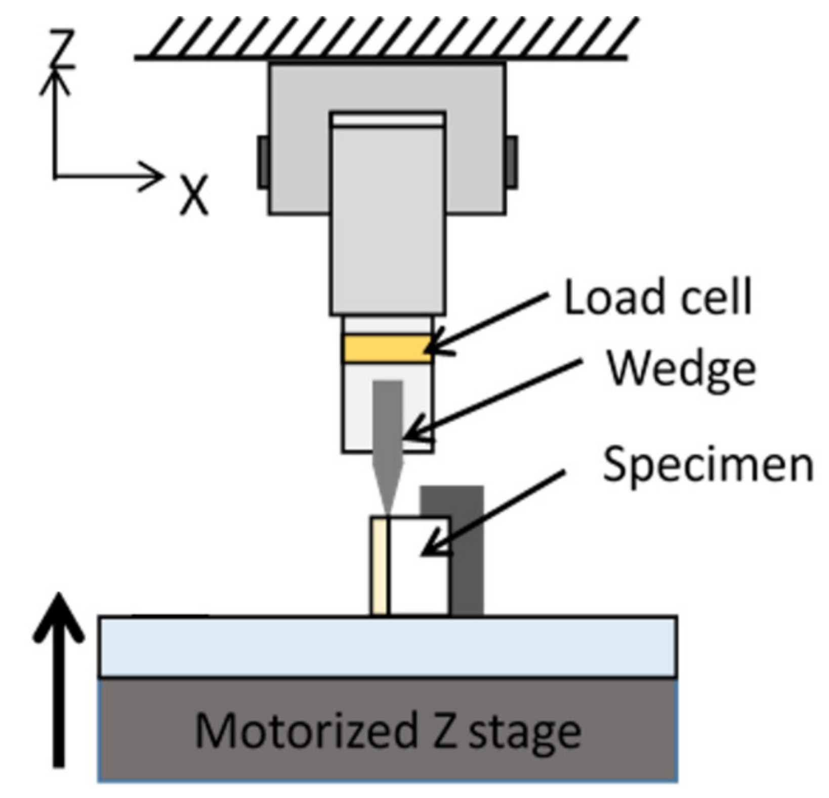Coatings 11 00055 g003