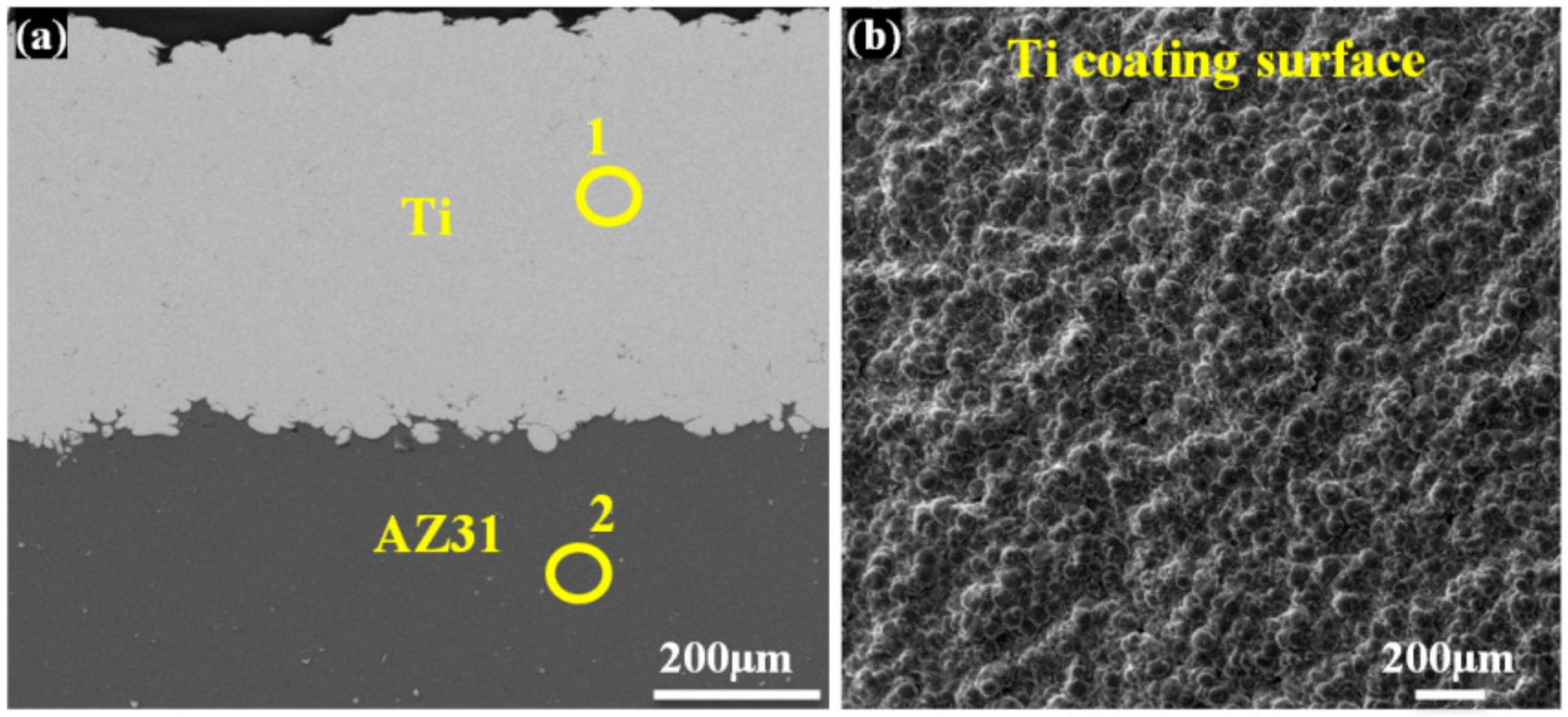 Coatings 11 00057 g002a Coatings 11 00057 g002a