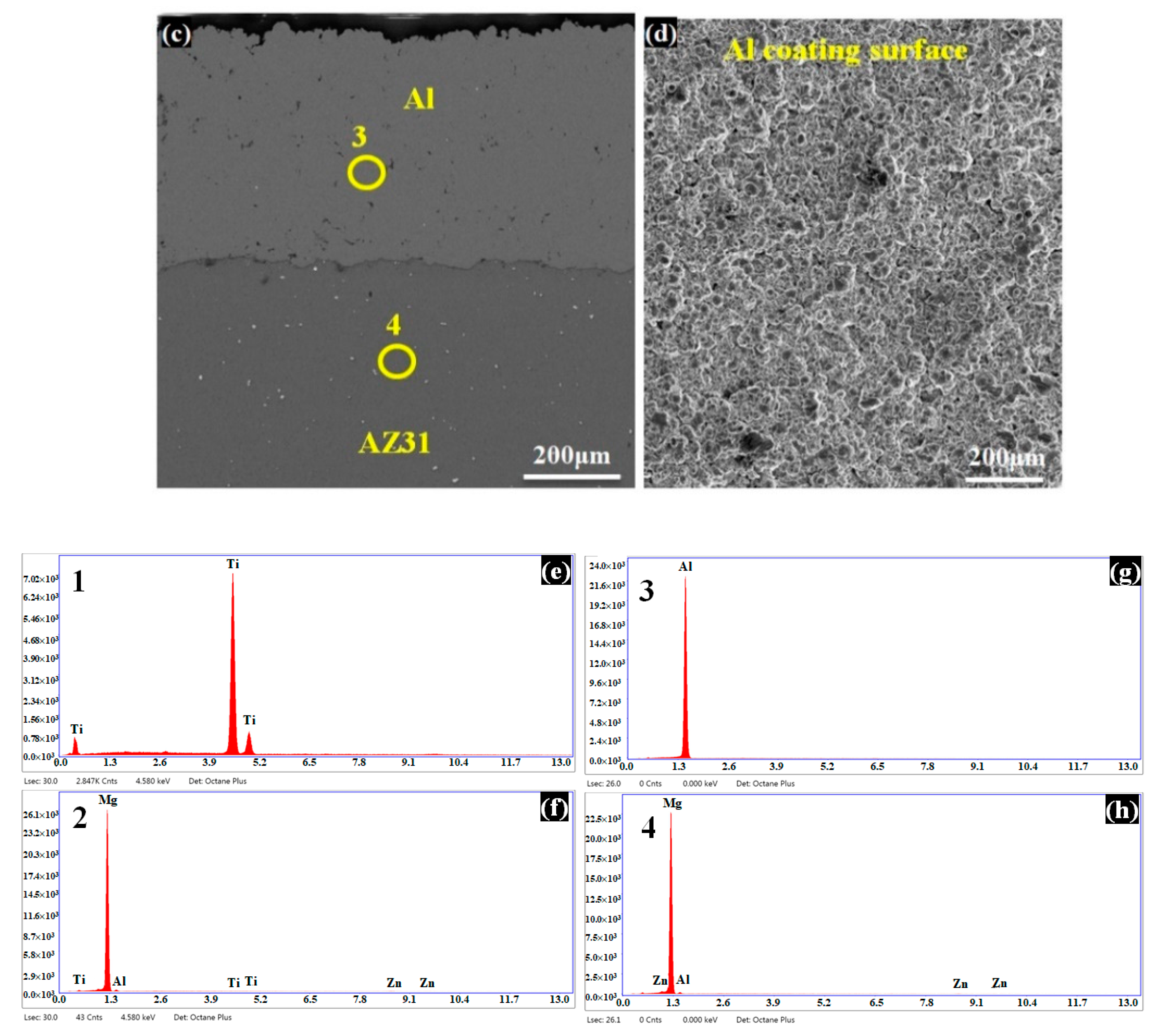 Coatings 11 00057 g002b Coatings 11 00057 g002b
