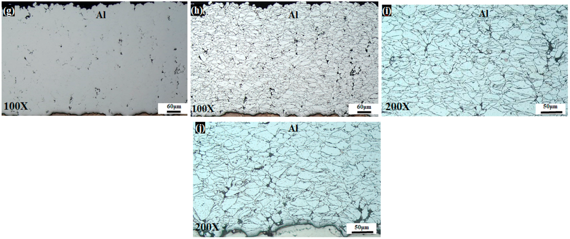 Coatings 11 00057 g003b Coatings 11 00057 g003b