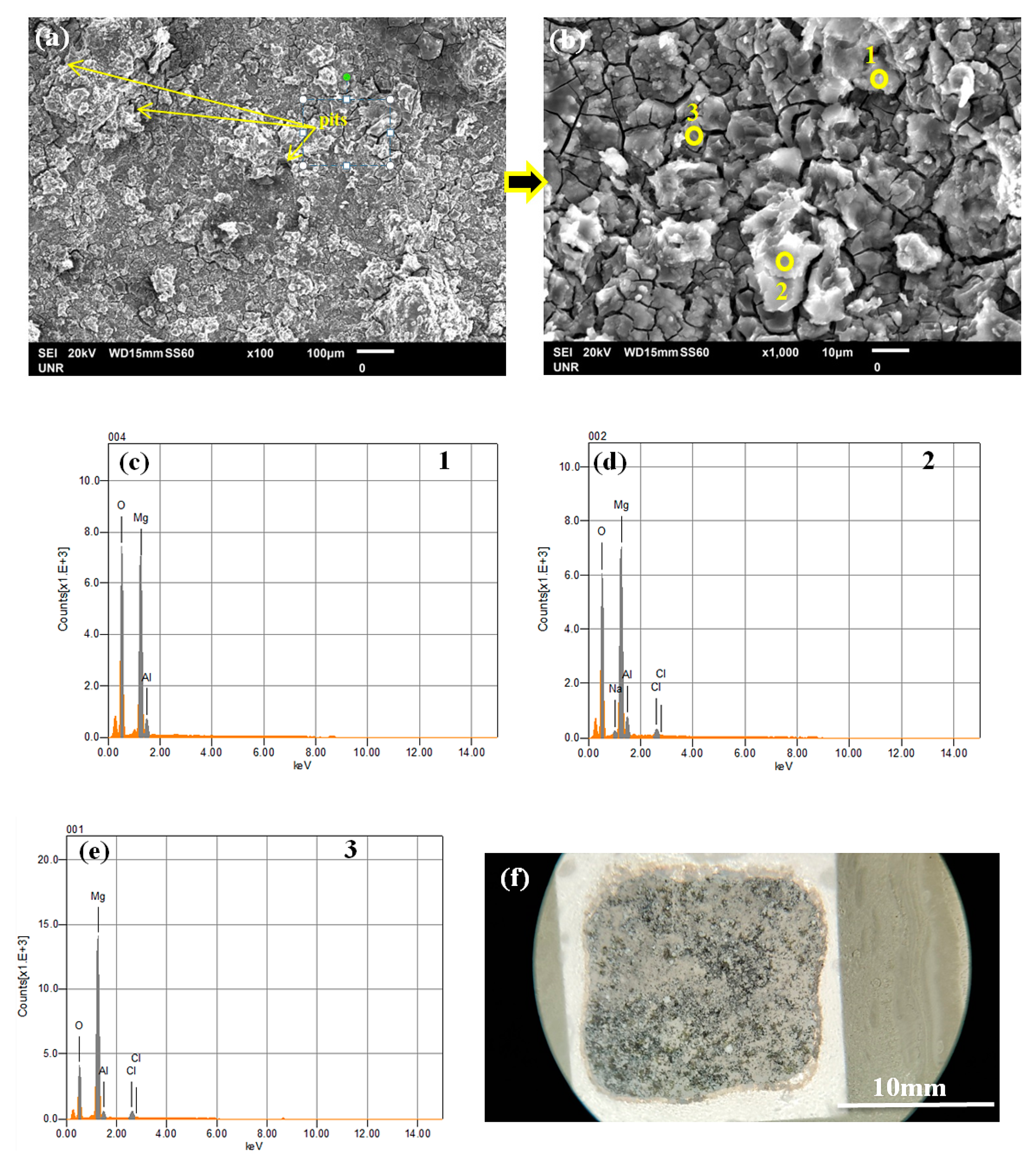 Coatings 11 00057 g009 Coatings 11 00057 g009