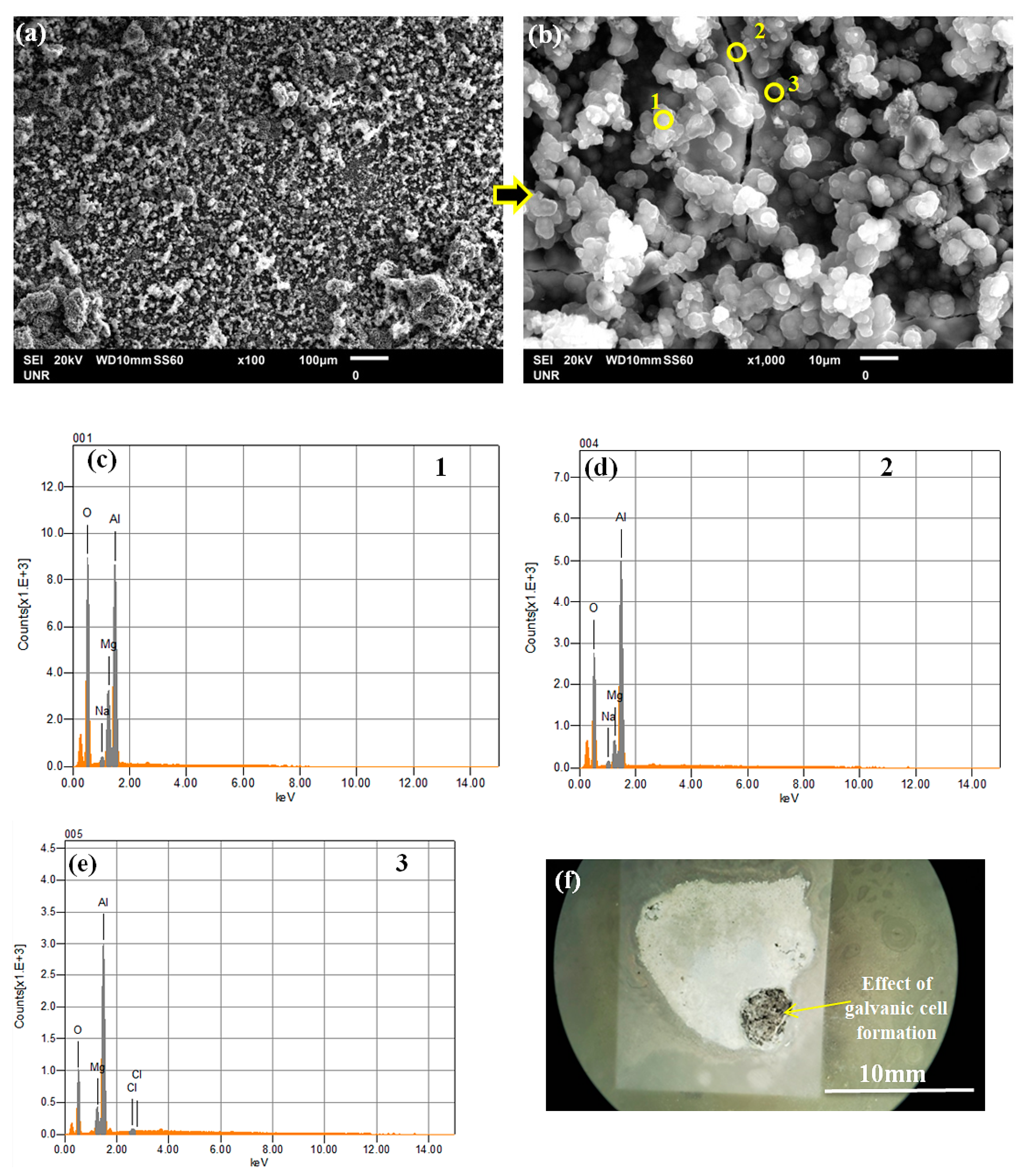 Coatings 11 00057 g010 Coatings 11 00057 g010