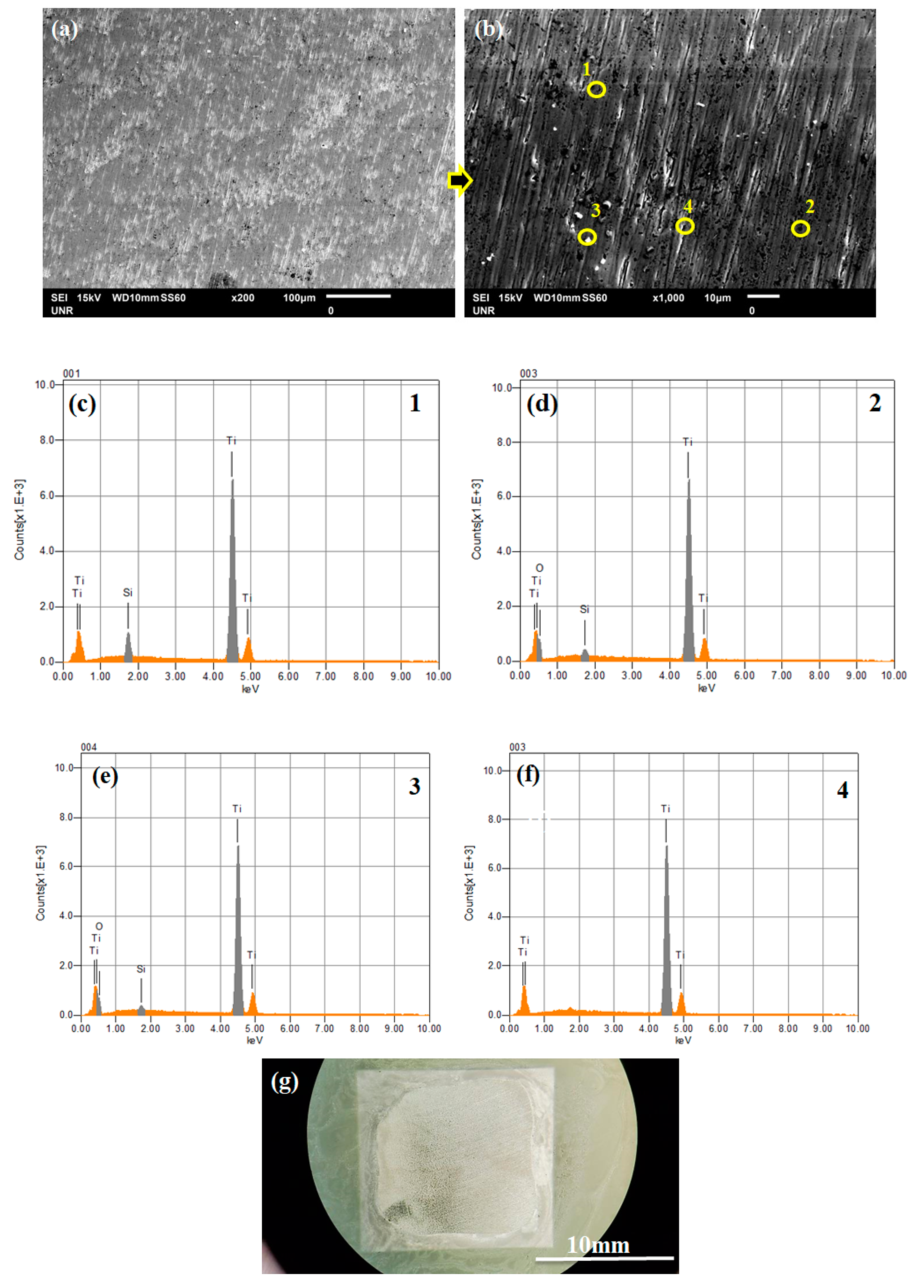 Coatings 11 00057 g011 Coatings 11 00057 g011