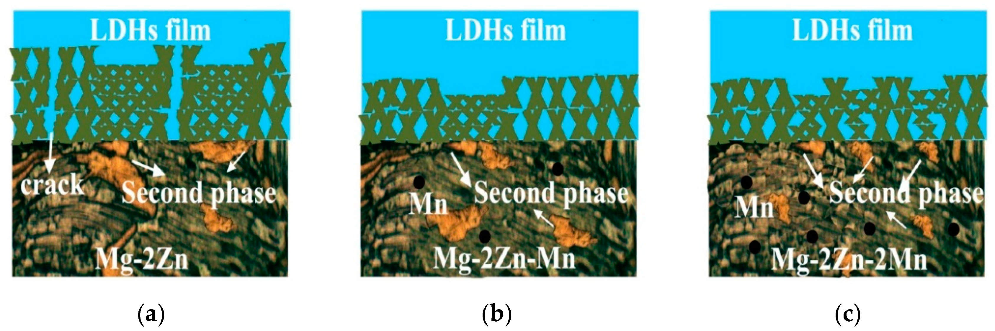 Coatings 11 00059 g009 Coatings 11 00059 g009
