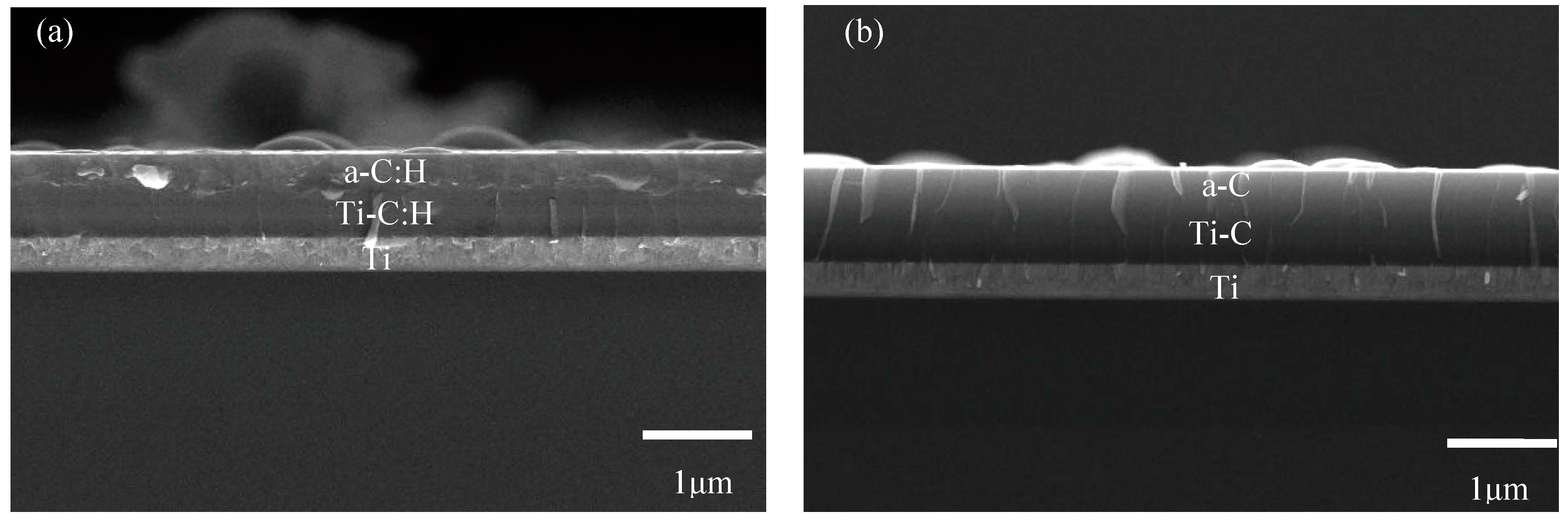 Coatings 11 00063 g002