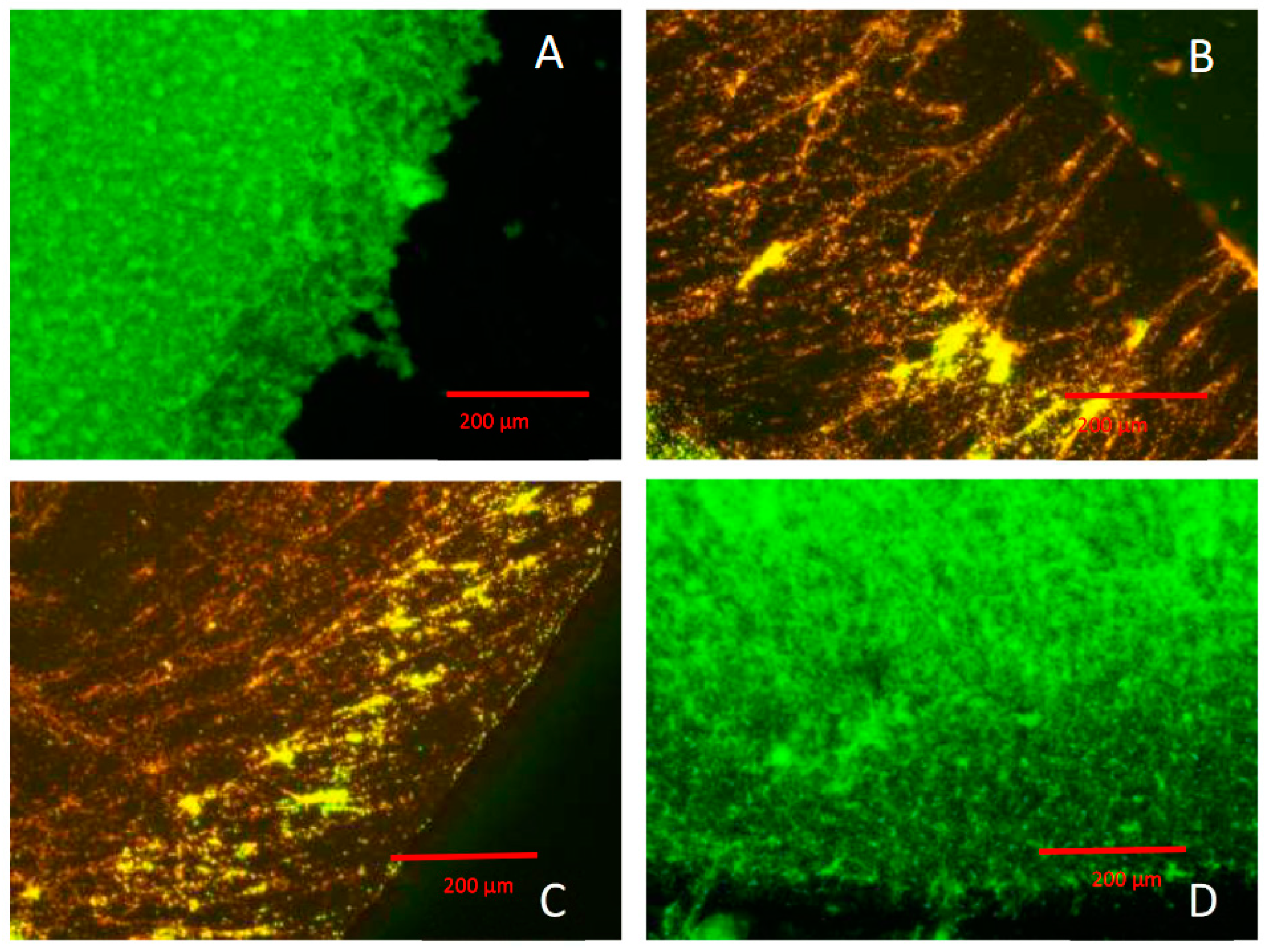 Coatings 11 00068 g005 Coatings 11 00068 g005
