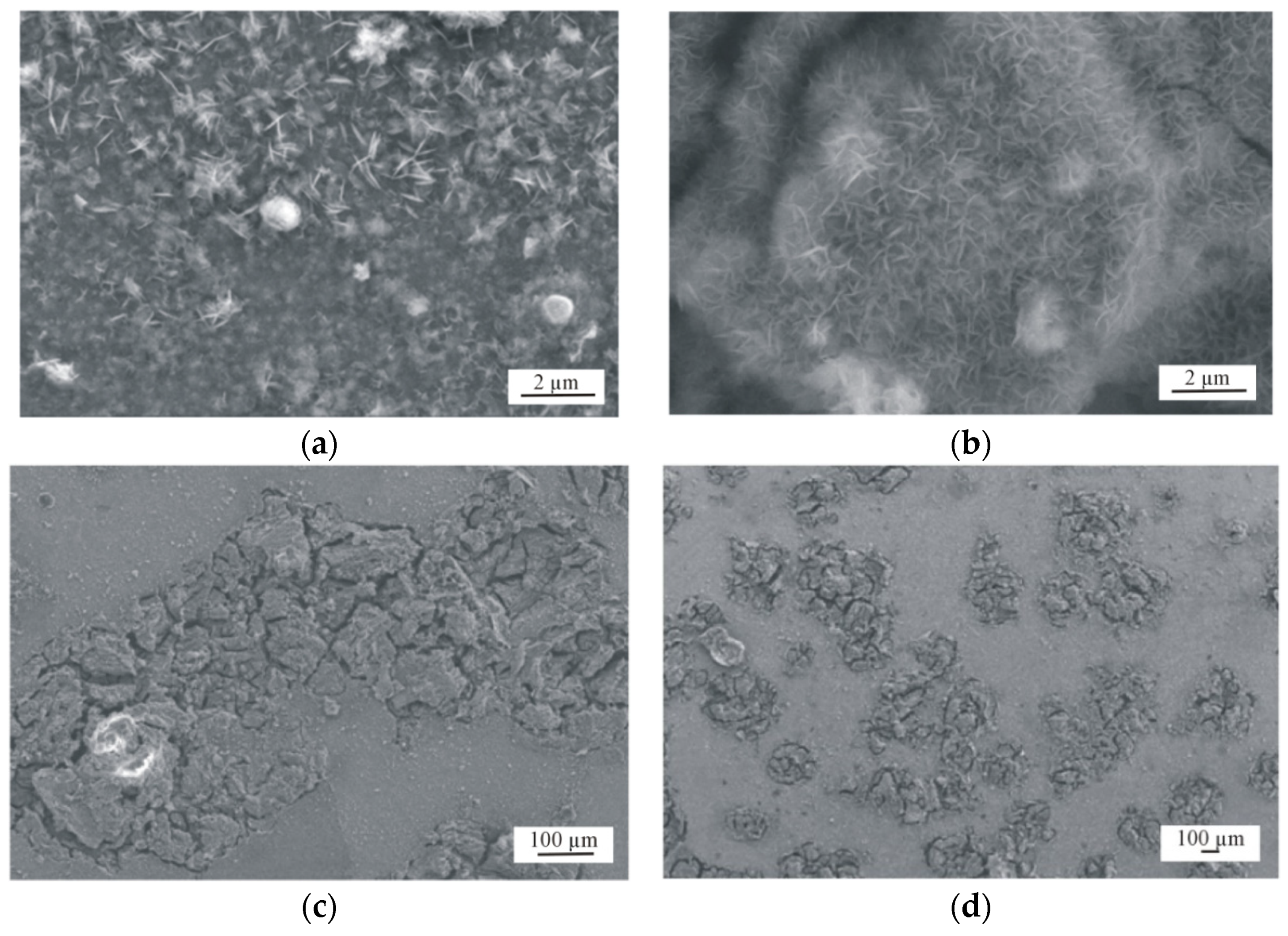 Coatings 11 00070 g010a