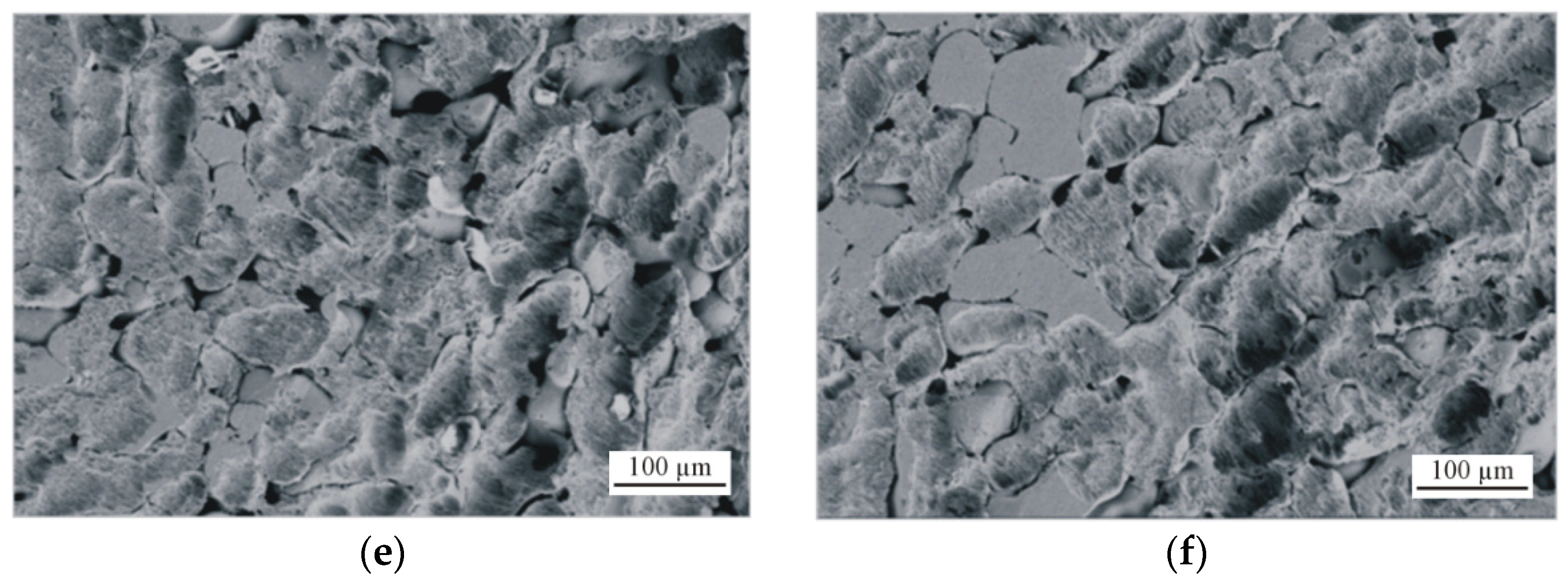 Coatings 11 00070 g010b