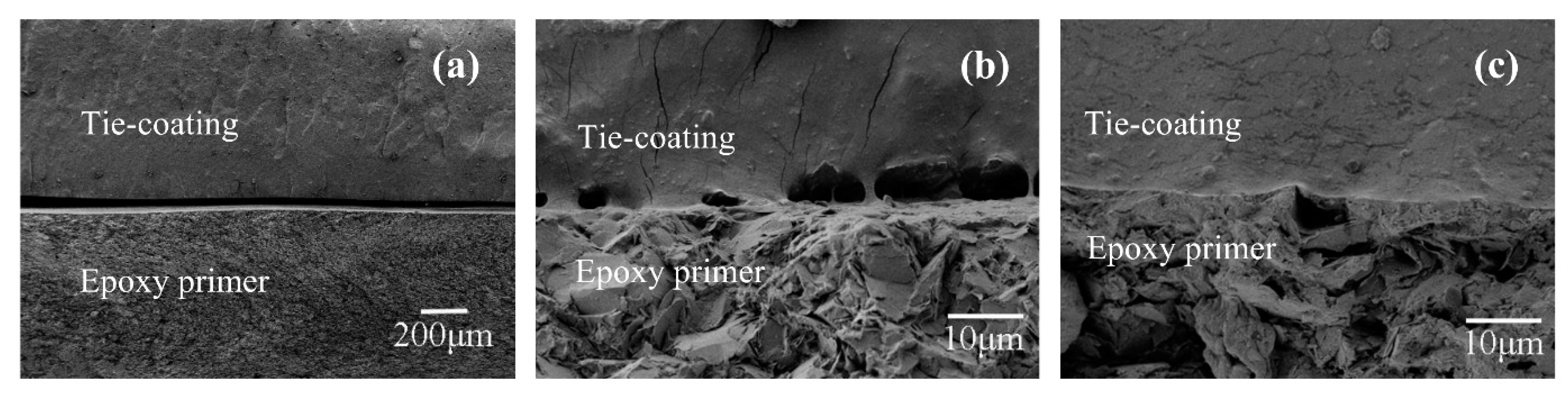 Coatings 11 00071 g009 Coatings 11 00071 g009