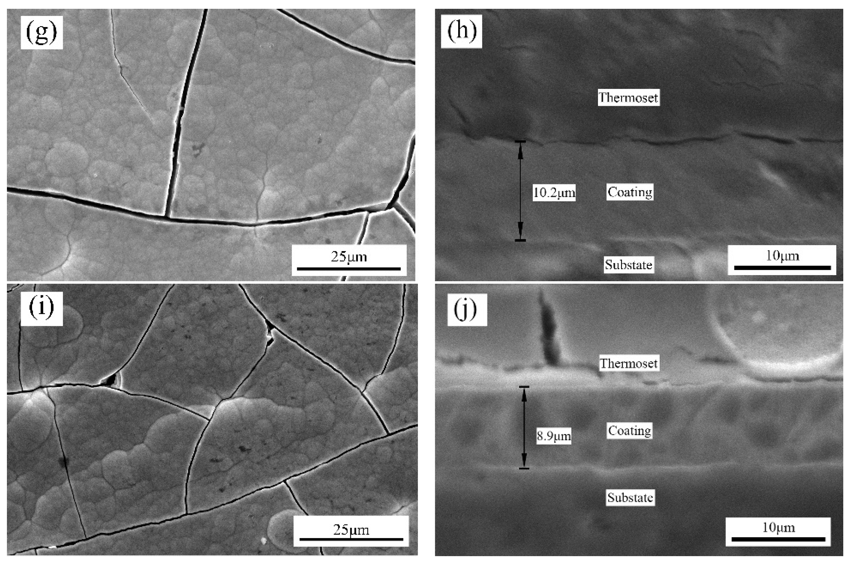 Coatings 11 00072 g001b