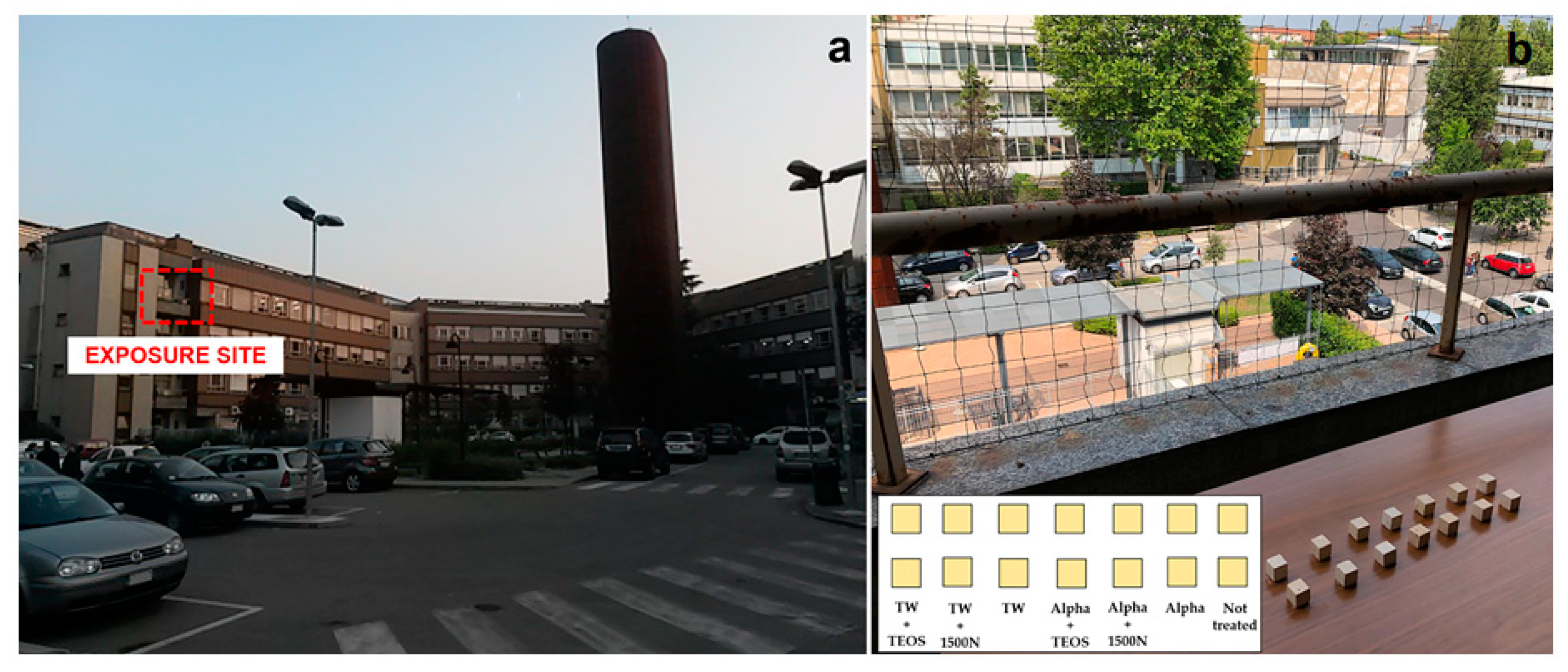 Coatings 11 00073 g001