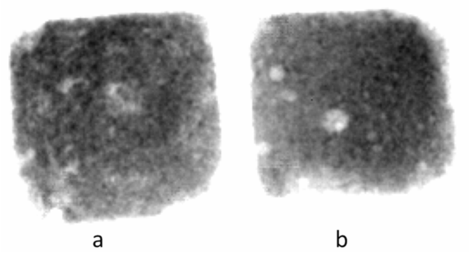 Coatings 11 00075 g005