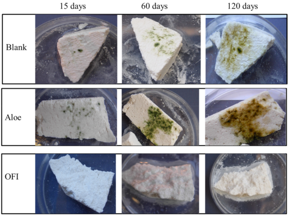 Coatings 11 00075 g006