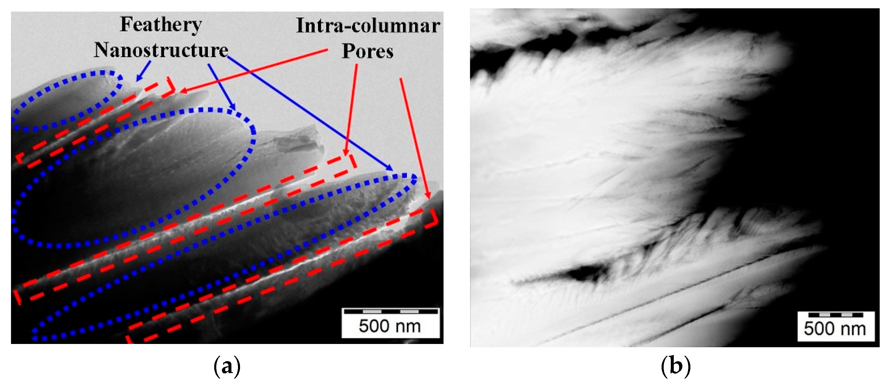 Coatings 11 00079 g003 Coatings 11 00079 g003