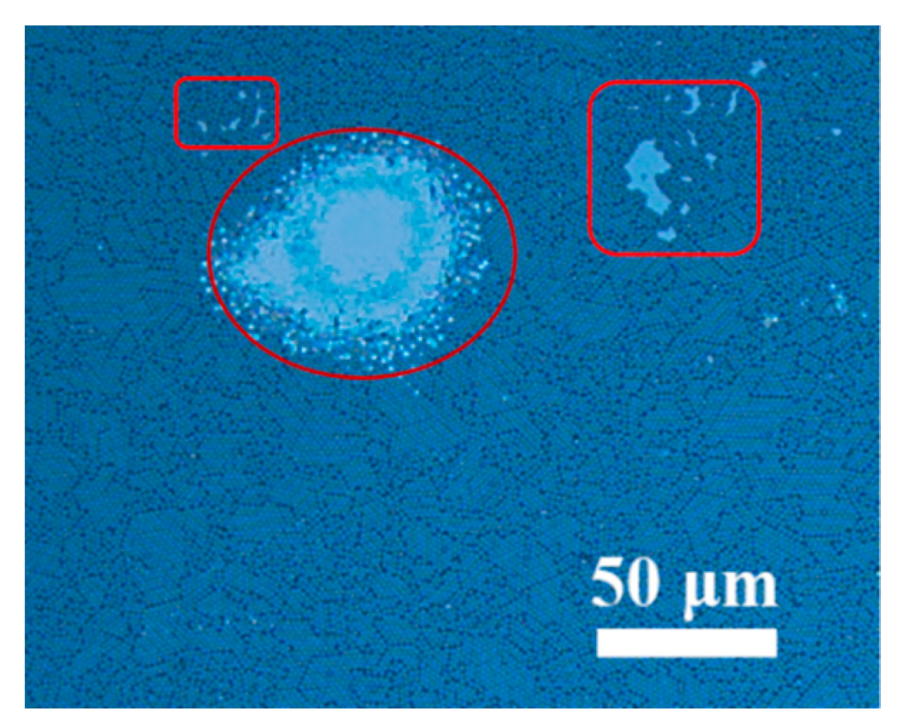 Coatings 11 00082 g001 Coatings 11 00082 g001