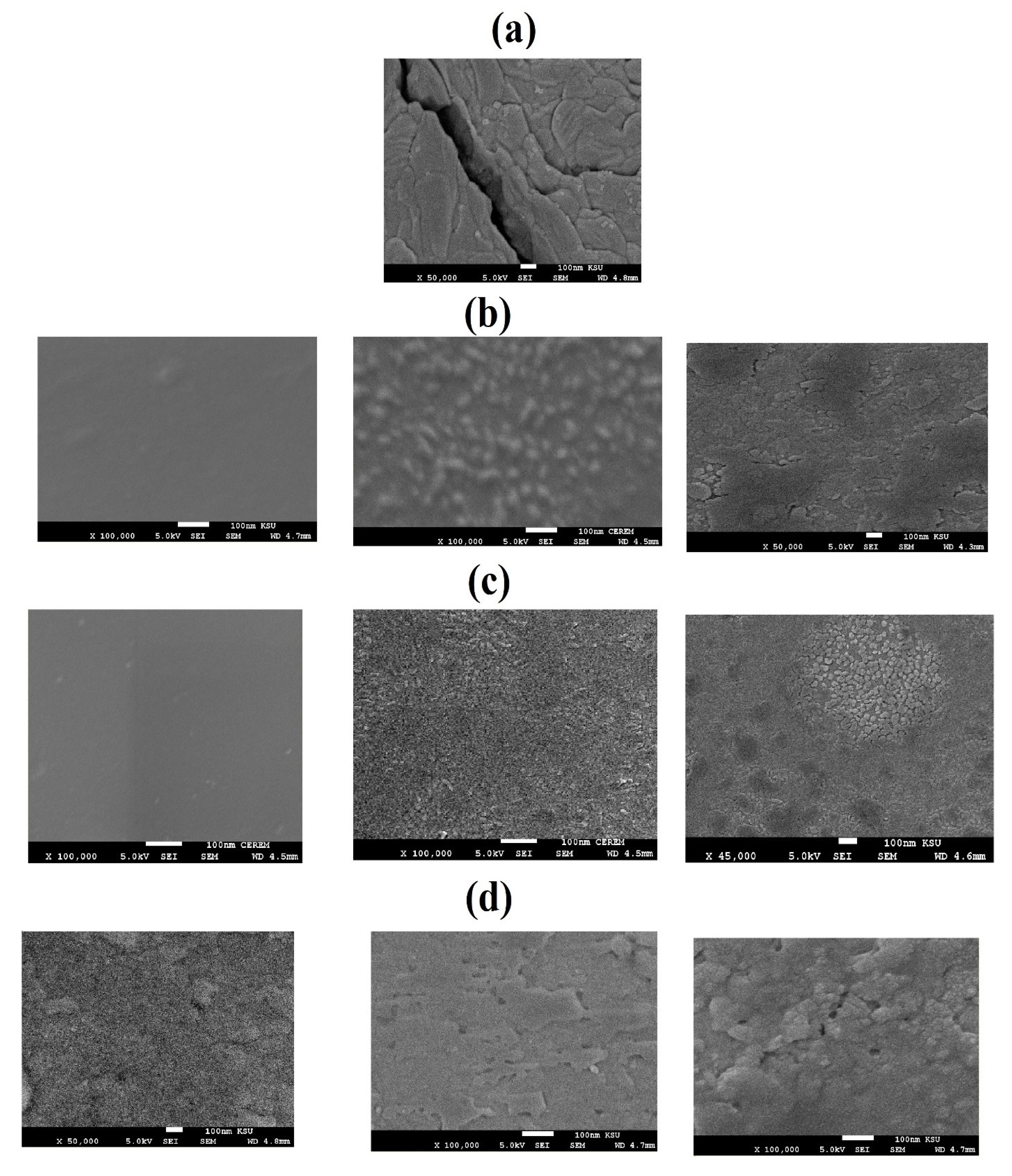 Coatings 11 00083 g009 Coatings 11 00083 g009