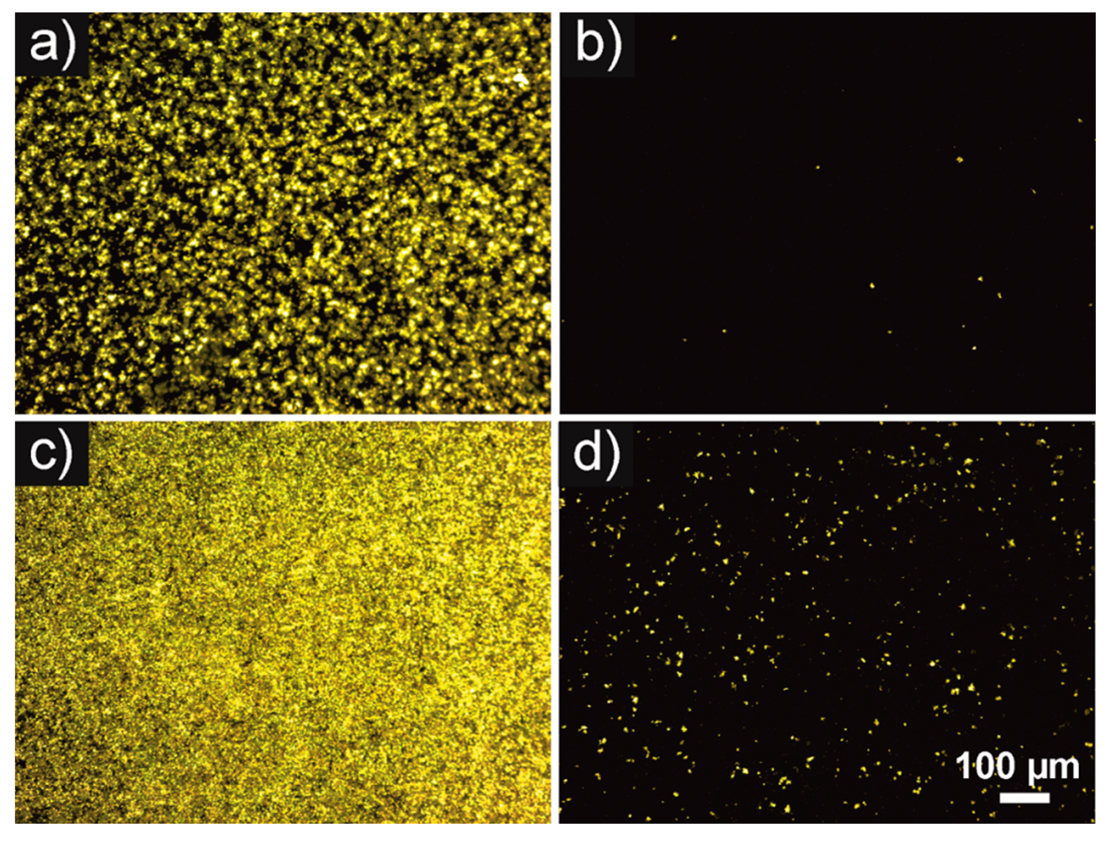 Coatings 11 00093 g002 Coatings 11 00093 g002