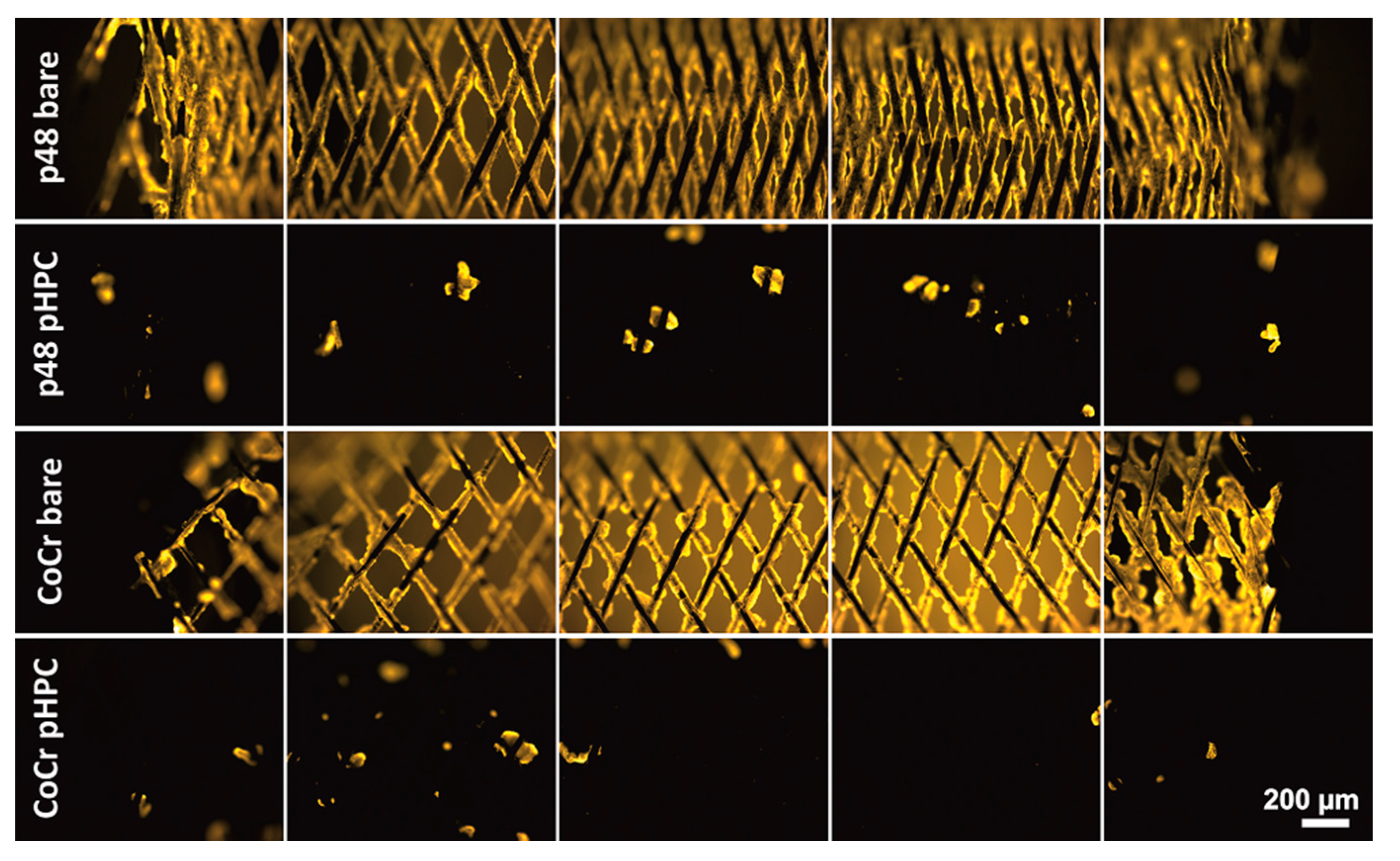 Coatings 11 00093 g004 Coatings 11 00093 g004