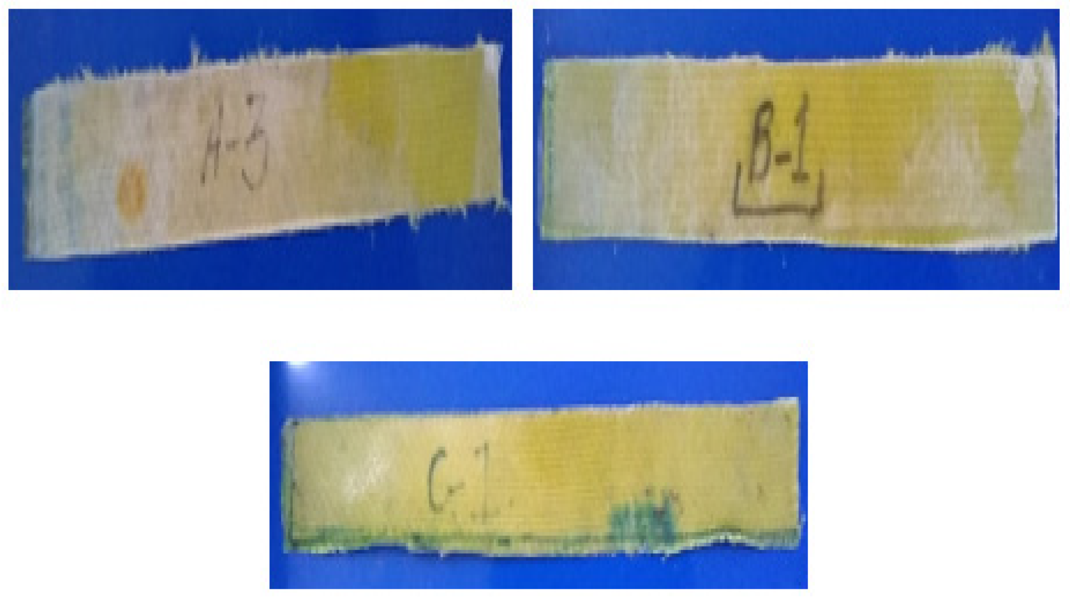 Coatings 11 00094 g001 Coatings 11 00094 g001