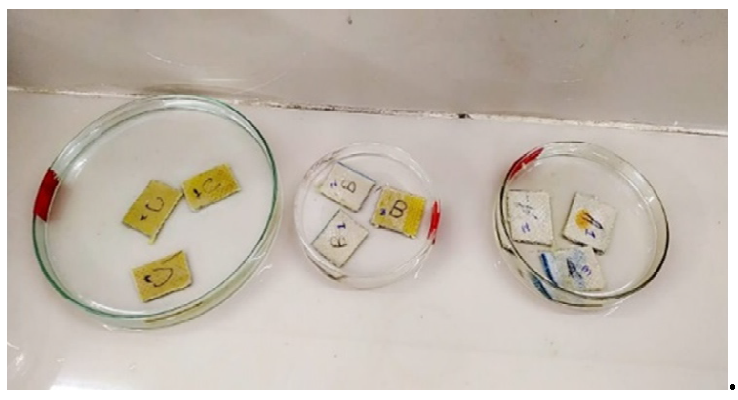 Coatings 11 00094 g004 Coatings 11 00094 g004