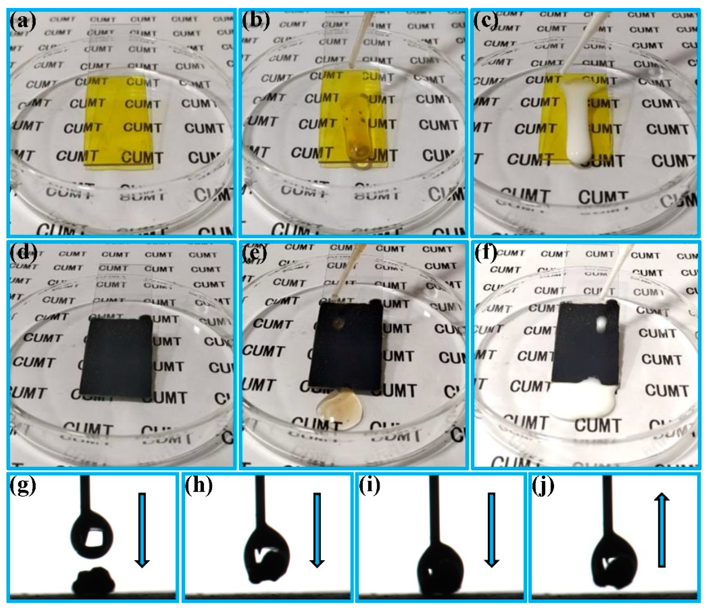 Coatings 11 00095 g007 Coatings 11 00095 g007