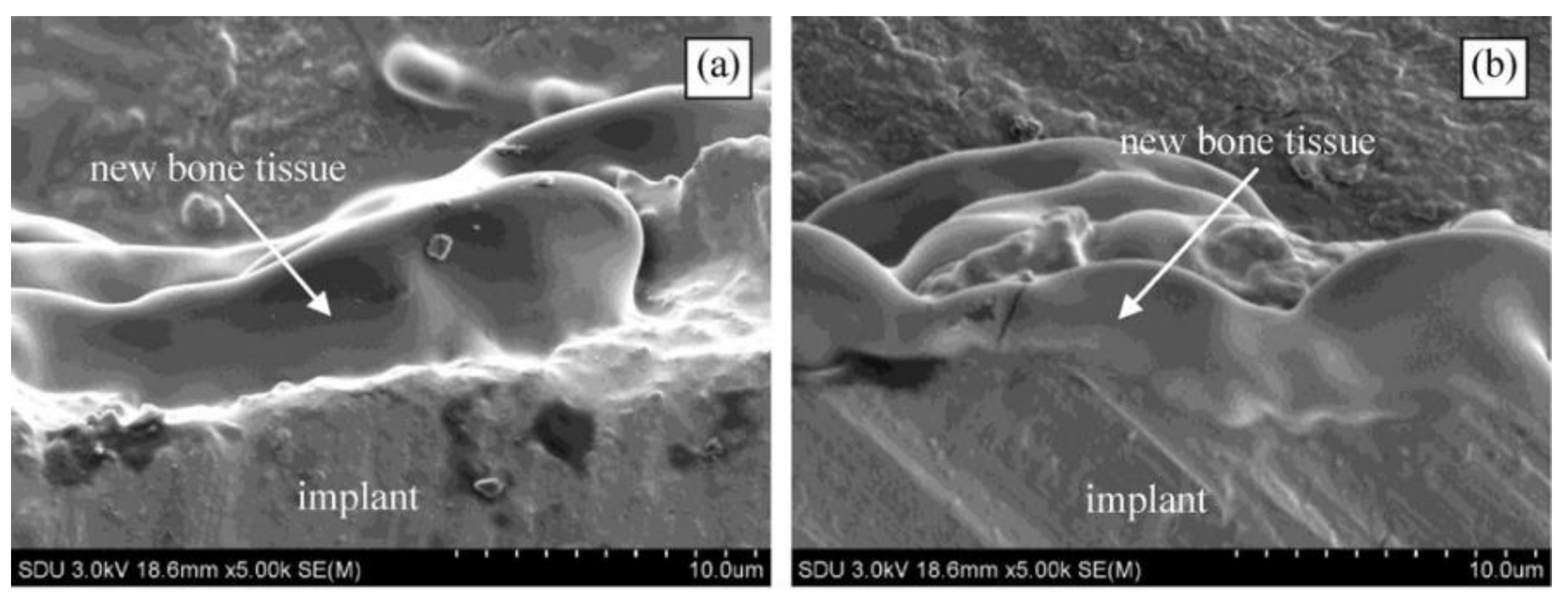 Coatings 11 00099 g001 Coatings 11 00099 g001