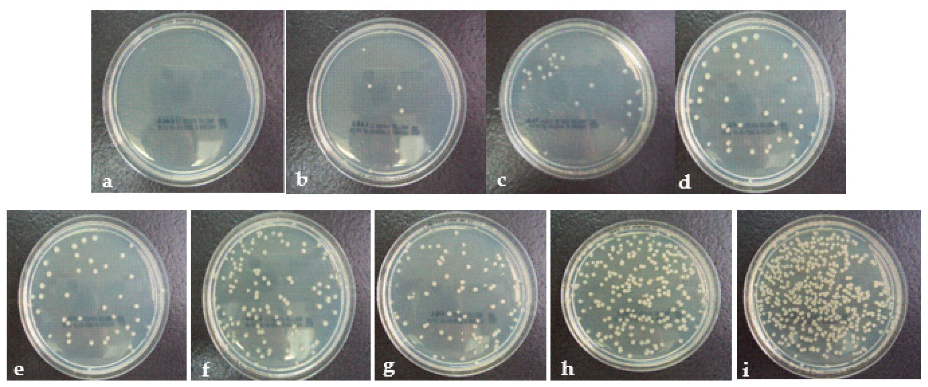 Coatings 11 00102 g007 Coatings 11 00102 g007