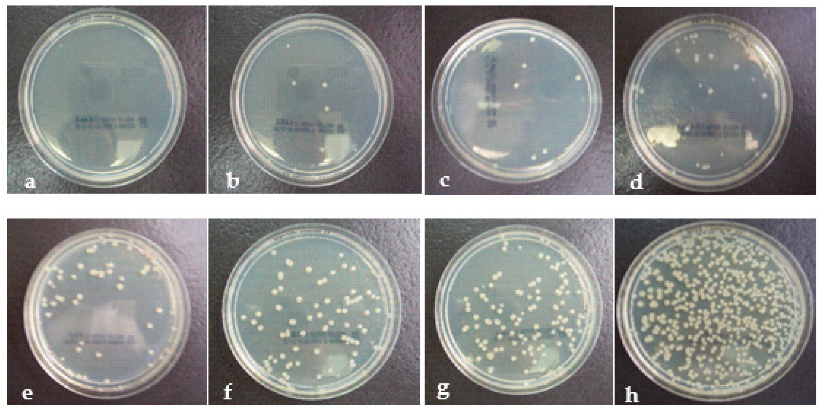 Coatings 11 00102 g009 Coatings 11 00102 g009