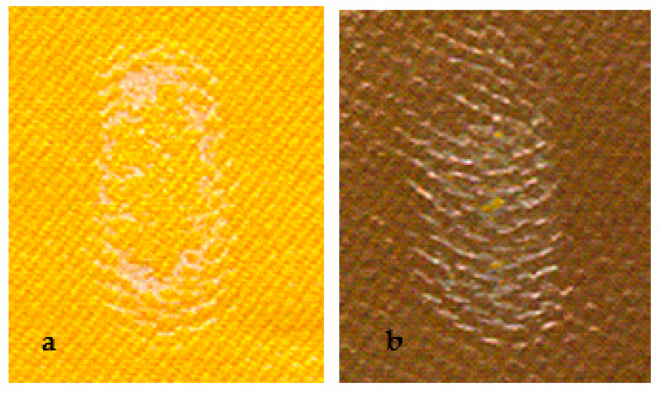 Coatings 11 00102 g012 Coatings 11 00102 g012