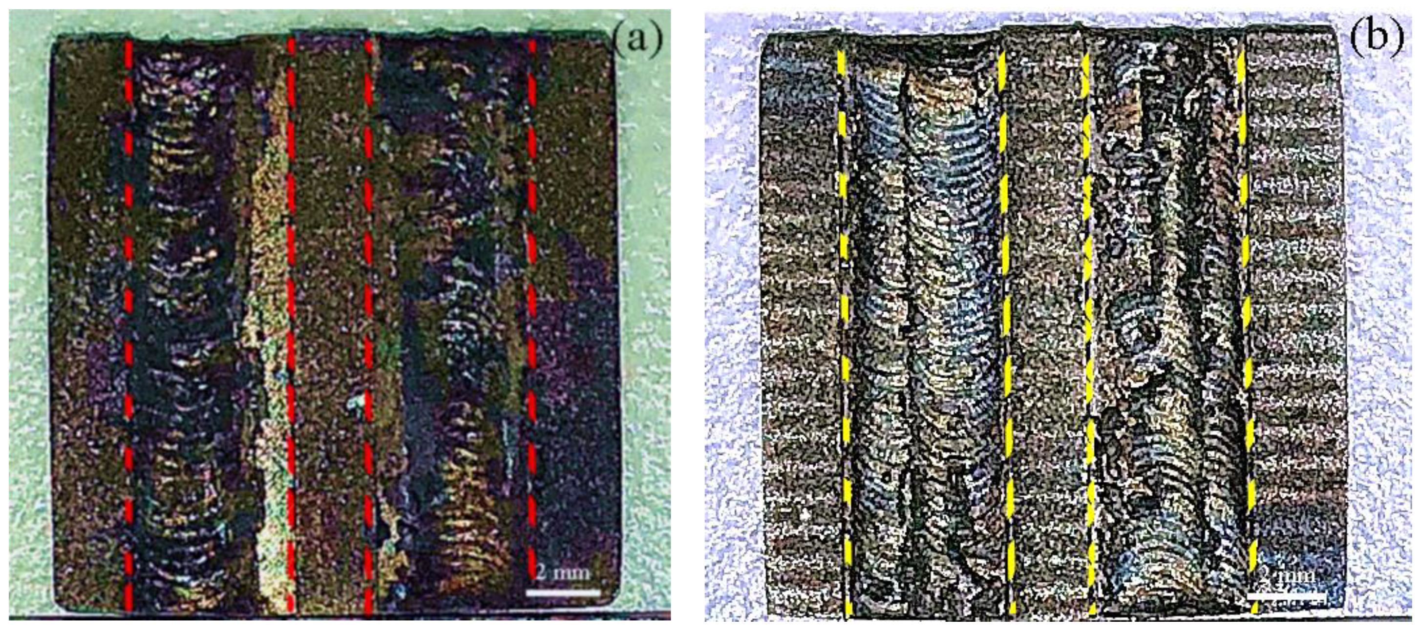 Coatings 11 00103 g003 550
