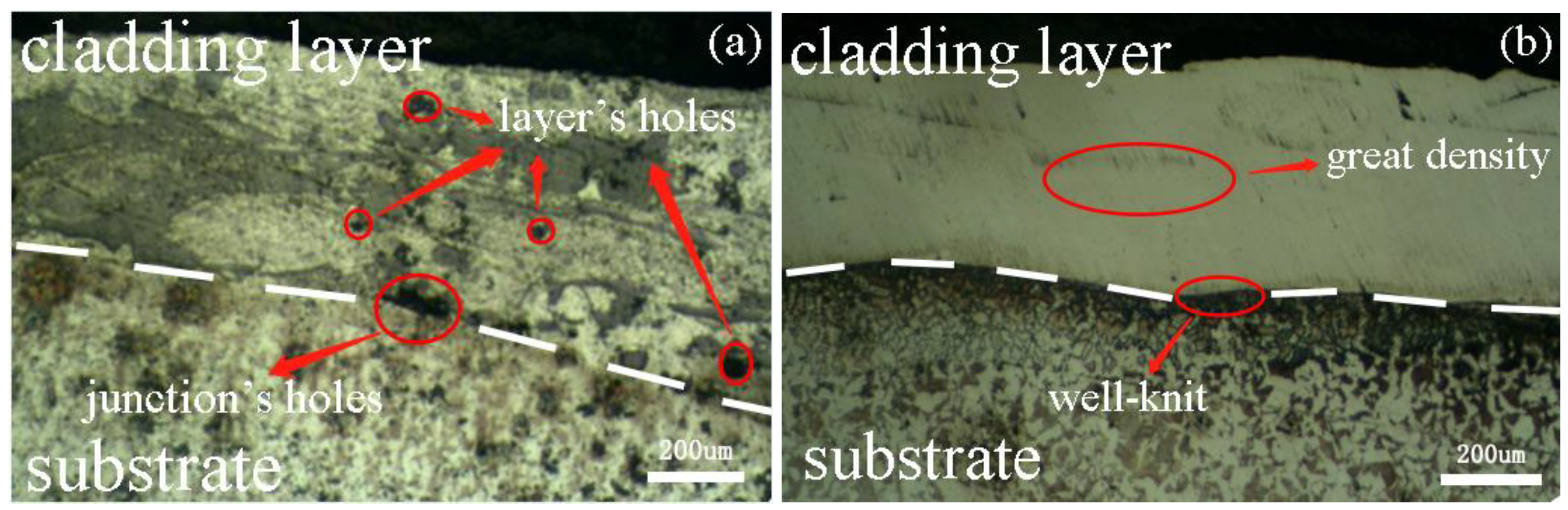 Coatings 11 00103 g004 550