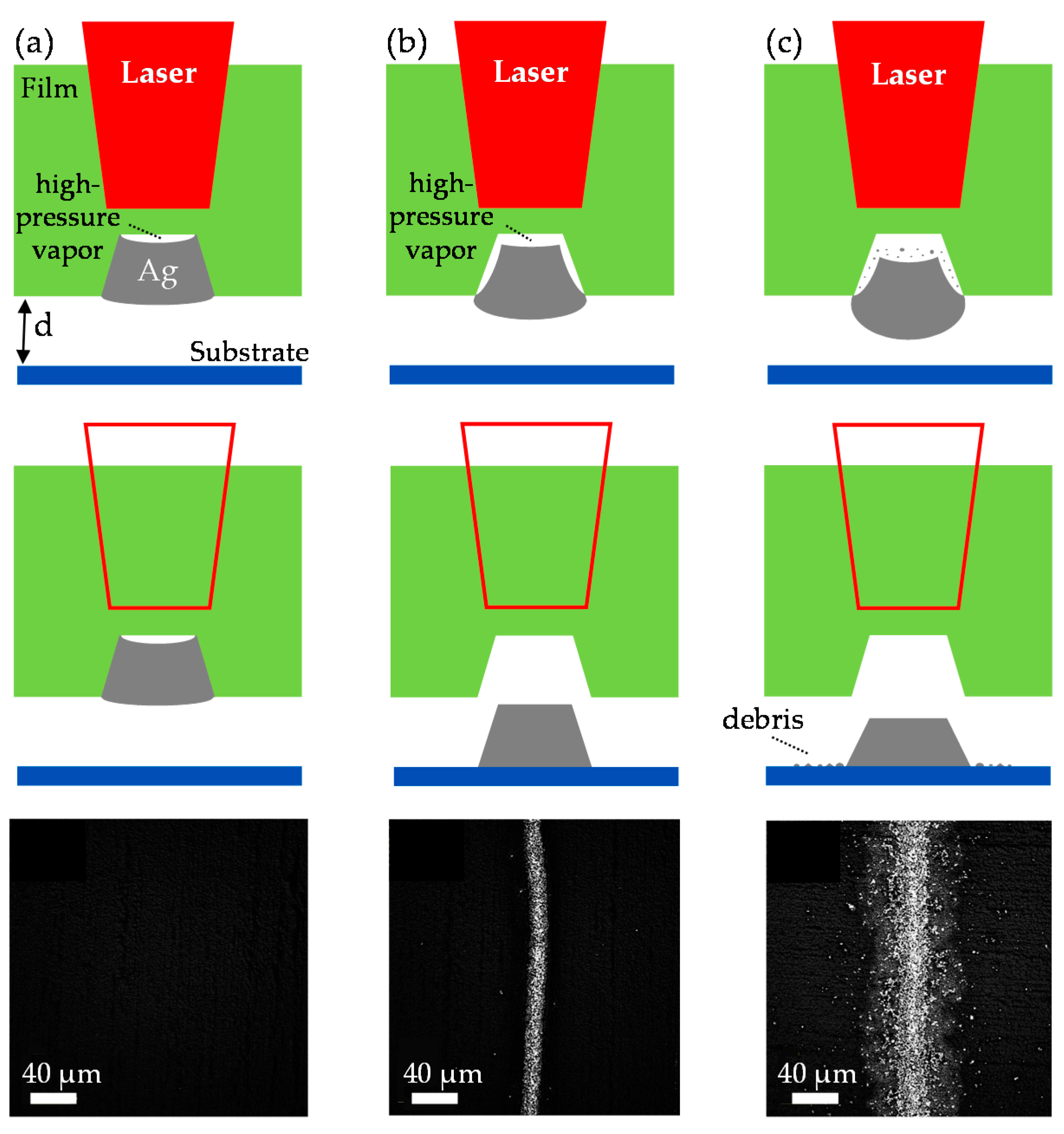 Coatings 11 00108 g002