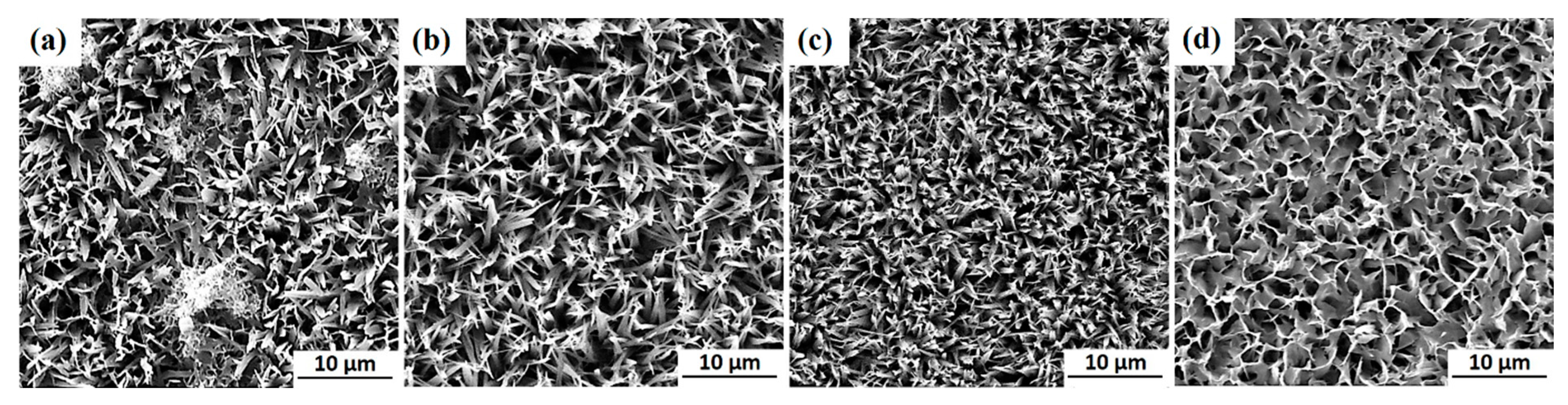 Coatings 11 00110 g009 Coatings 11 00110 g009