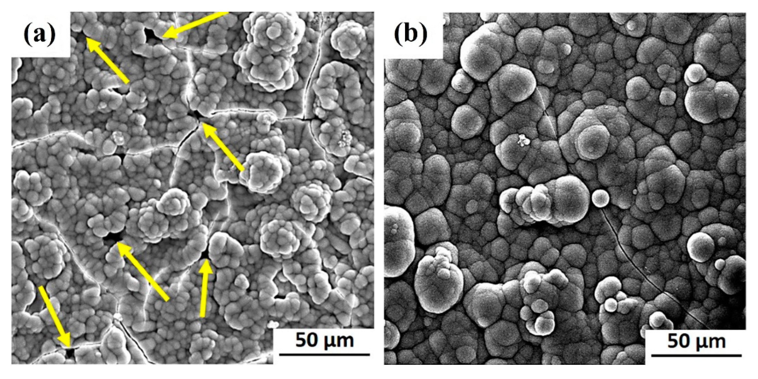 Coatings 11 00110 g012 Coatings 11 00110 g012