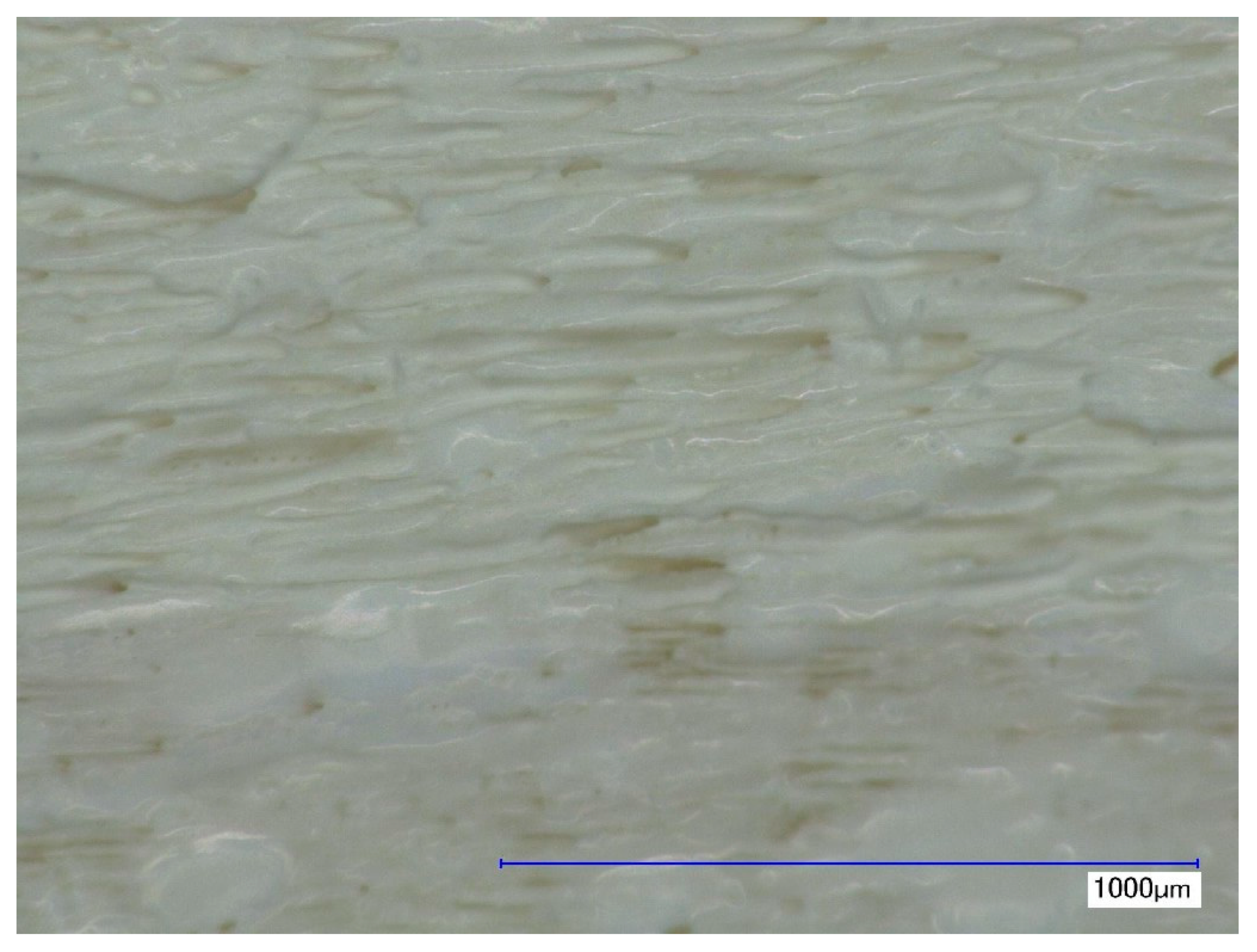 Coatings 11 00114 g001 Coatings 11 00114 g001