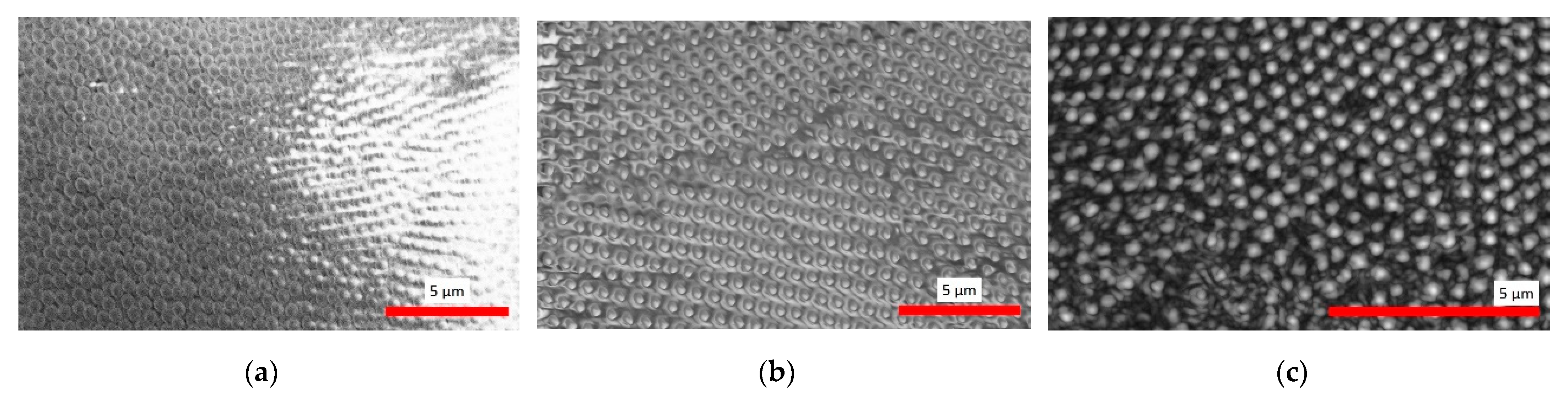 Coatings 11 00114 g003 Coatings 11 00114 g003