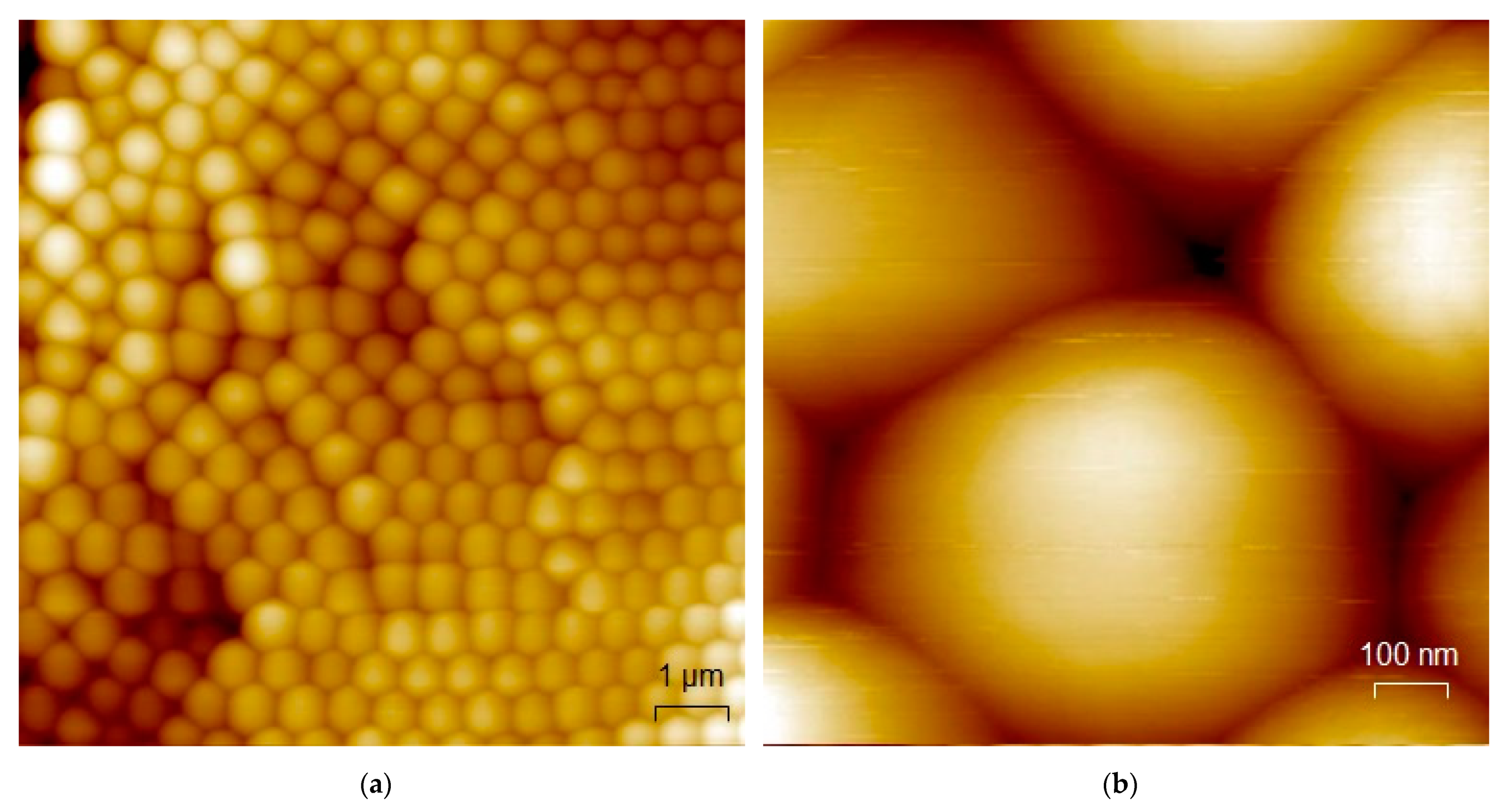 Coatings 11 00114 g004 Coatings 11 00114 g004