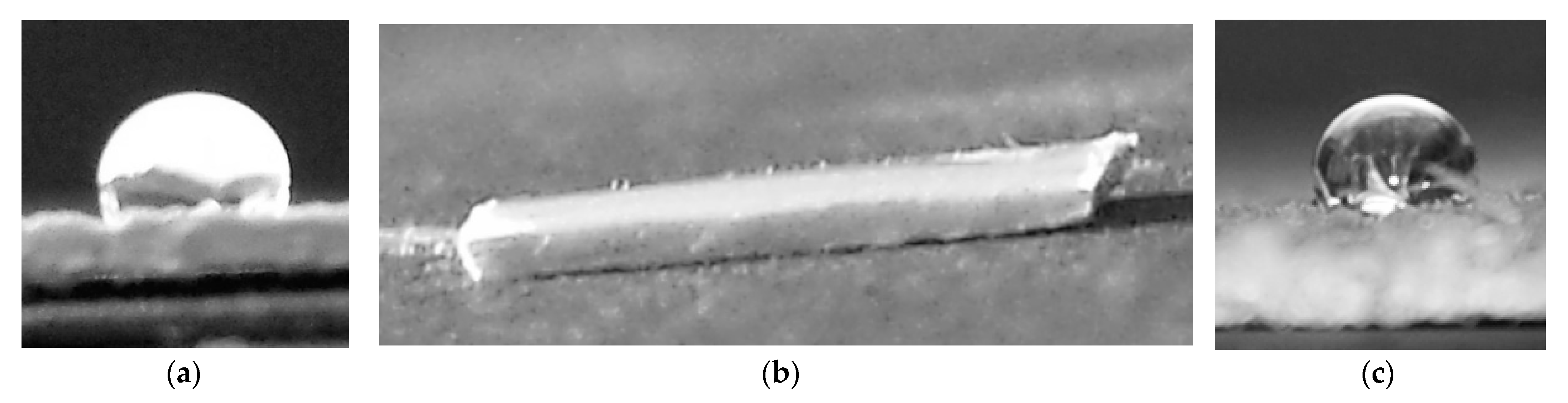 Coatings 11 00114 g007 Coatings 11 00114 g007