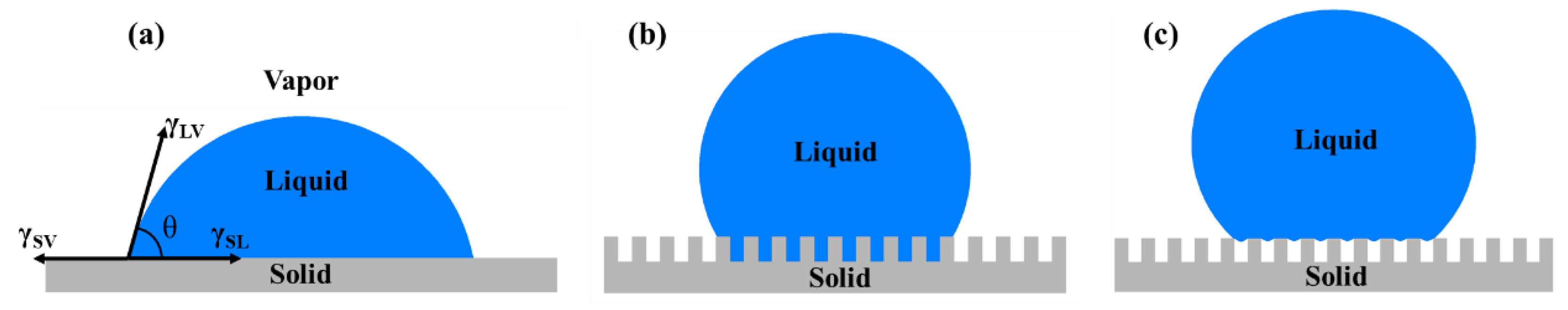 Coatings 11 00116 g001
