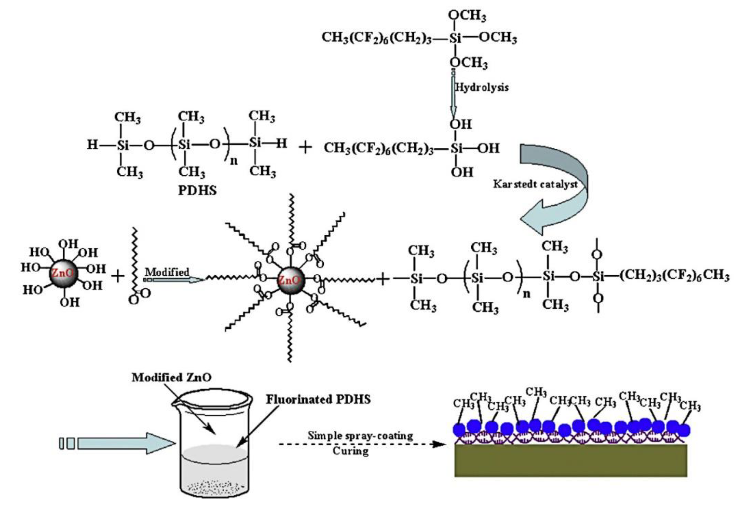 Coatings 11 00116 g003