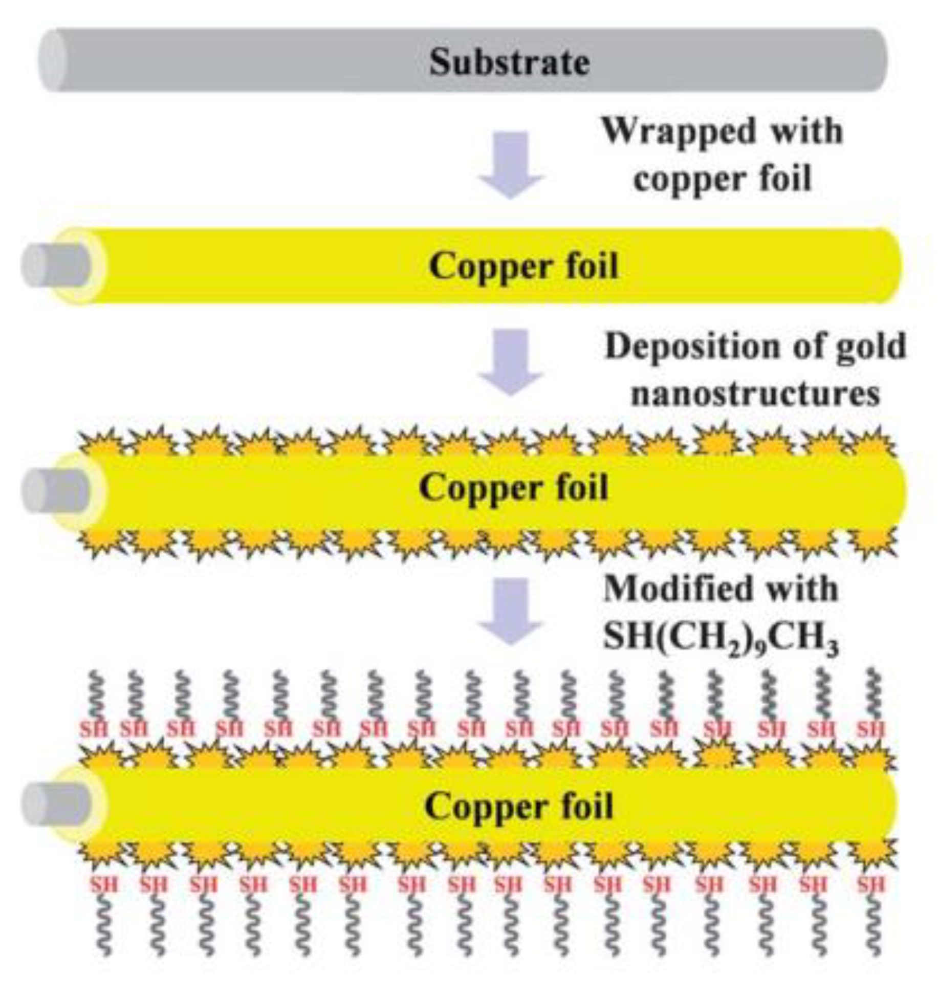 Coatings 11 00116 g005