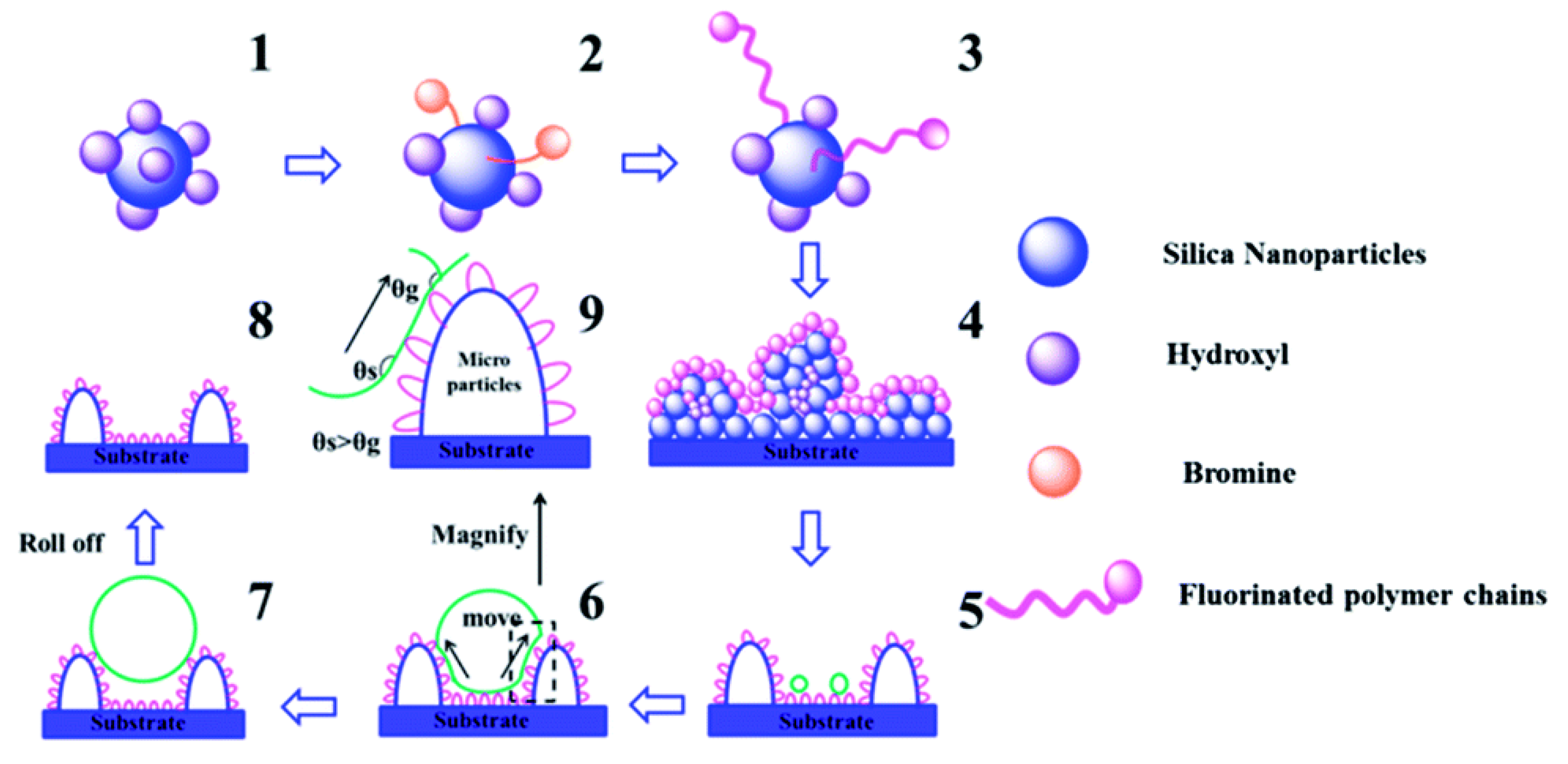 Coatings 11 00116 g008
