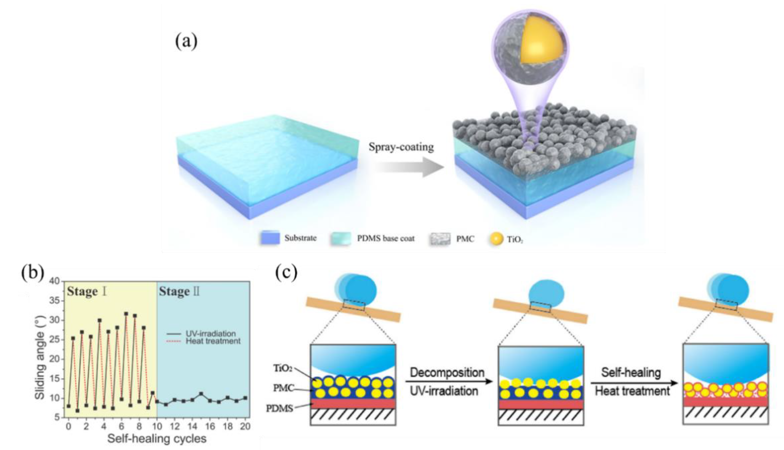 Coatings 11 00116 g015