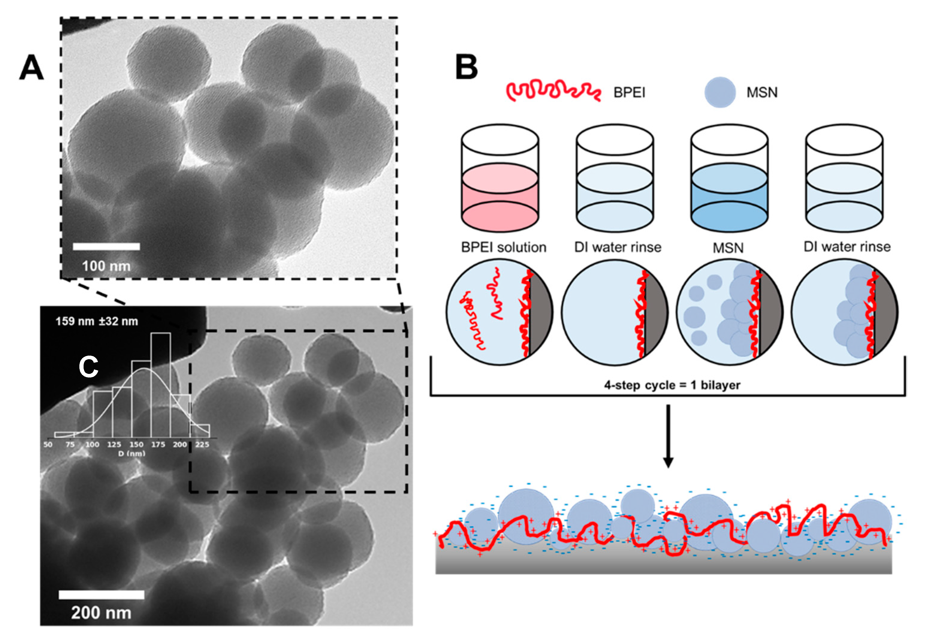 Coatings 11 00118 g002 Coatings 11 00118 g002