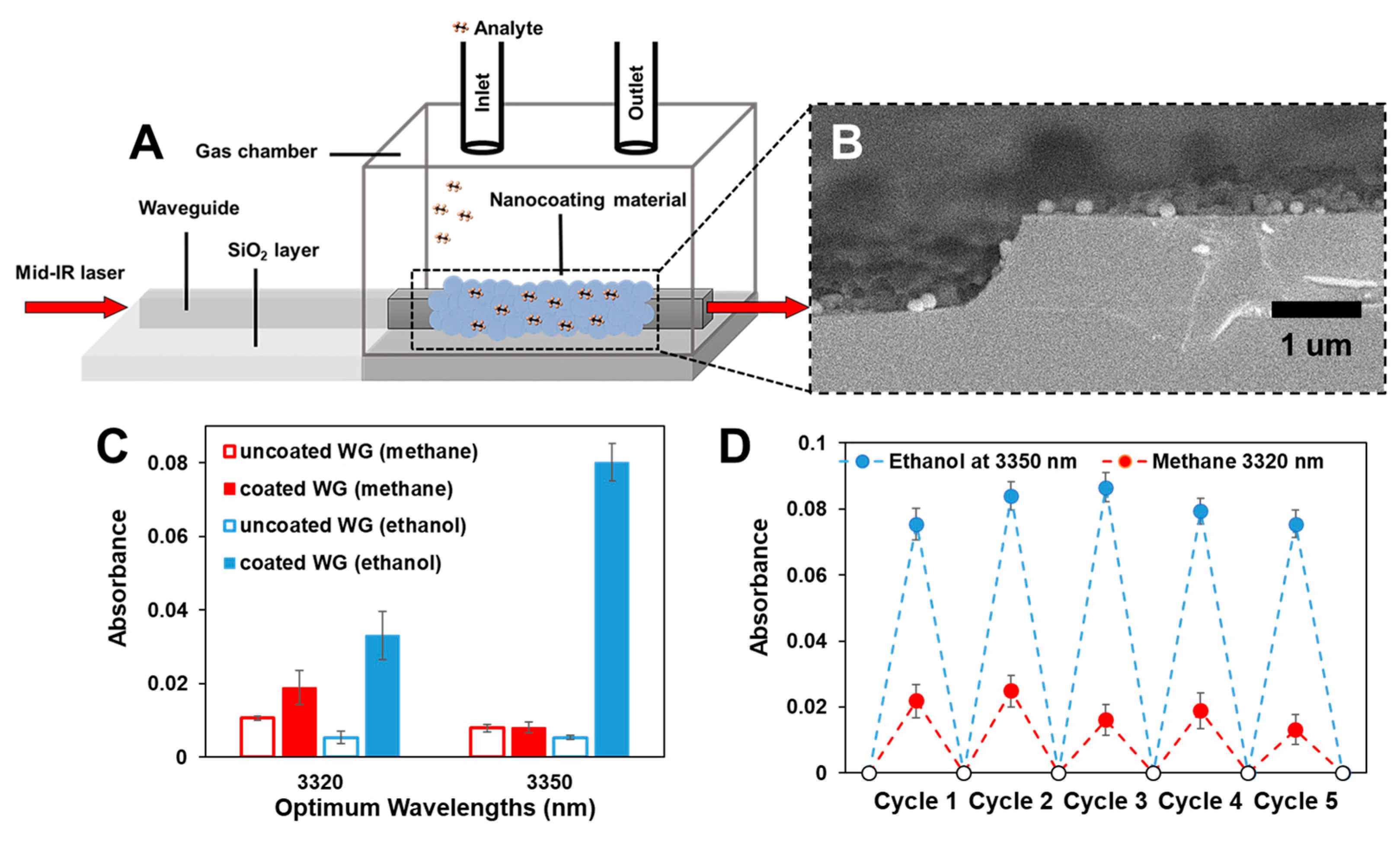Coatings 11 00118 g005 Coatings 11 00118 g005
