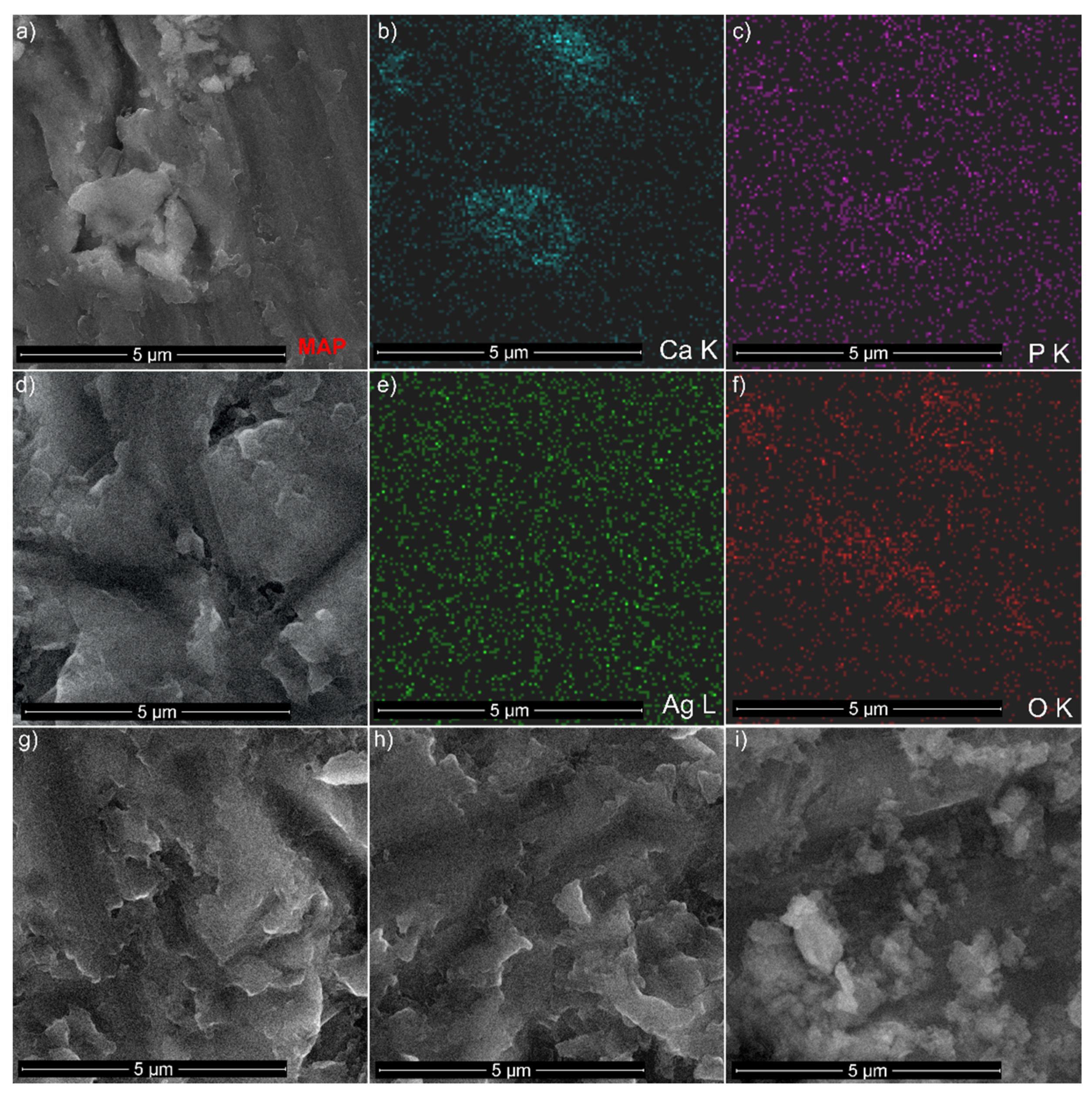 Coatings 11 00120 g012 Coatings 11 00120 g012