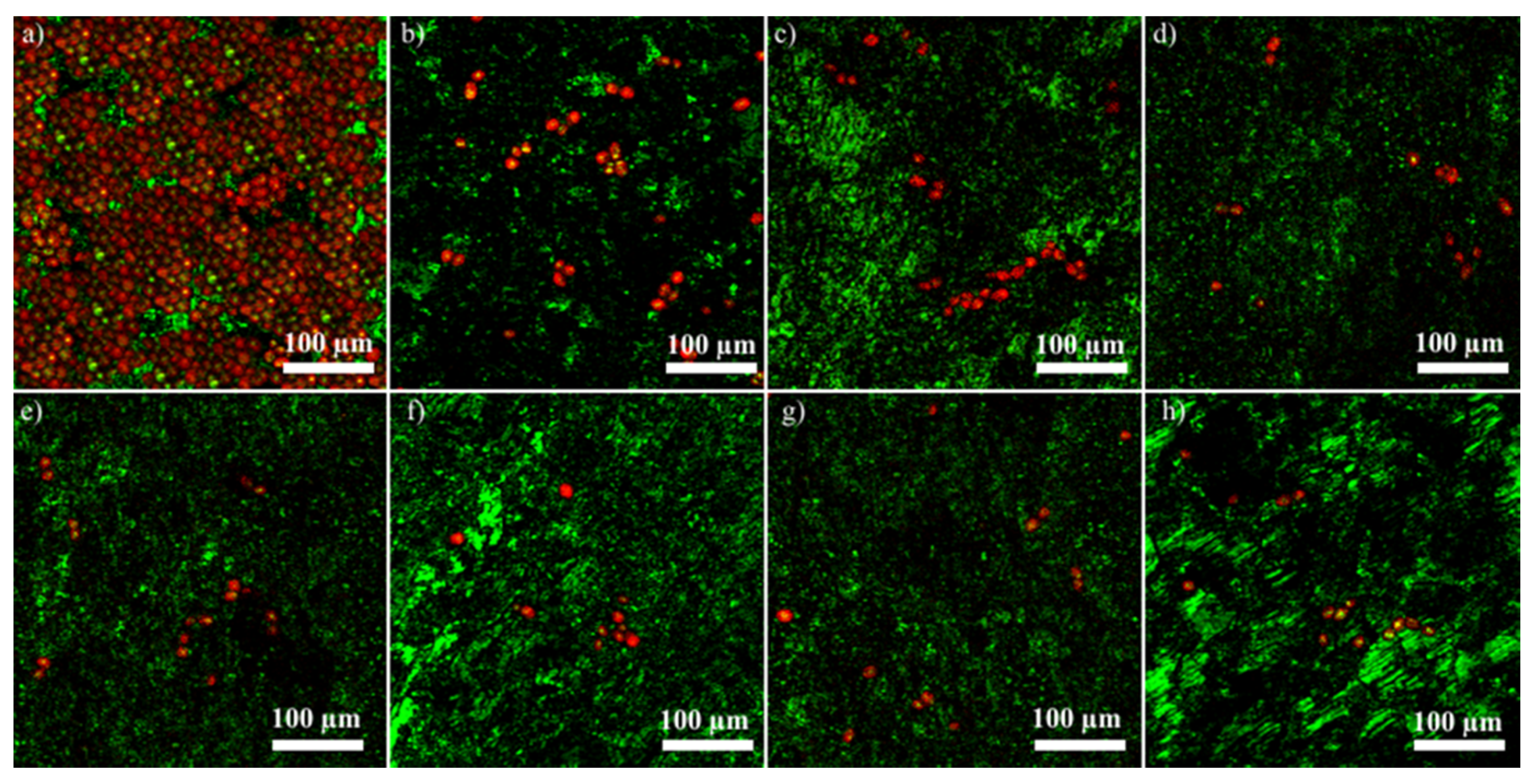 Coatings 11 00120 g015 Coatings 11 00120 g015