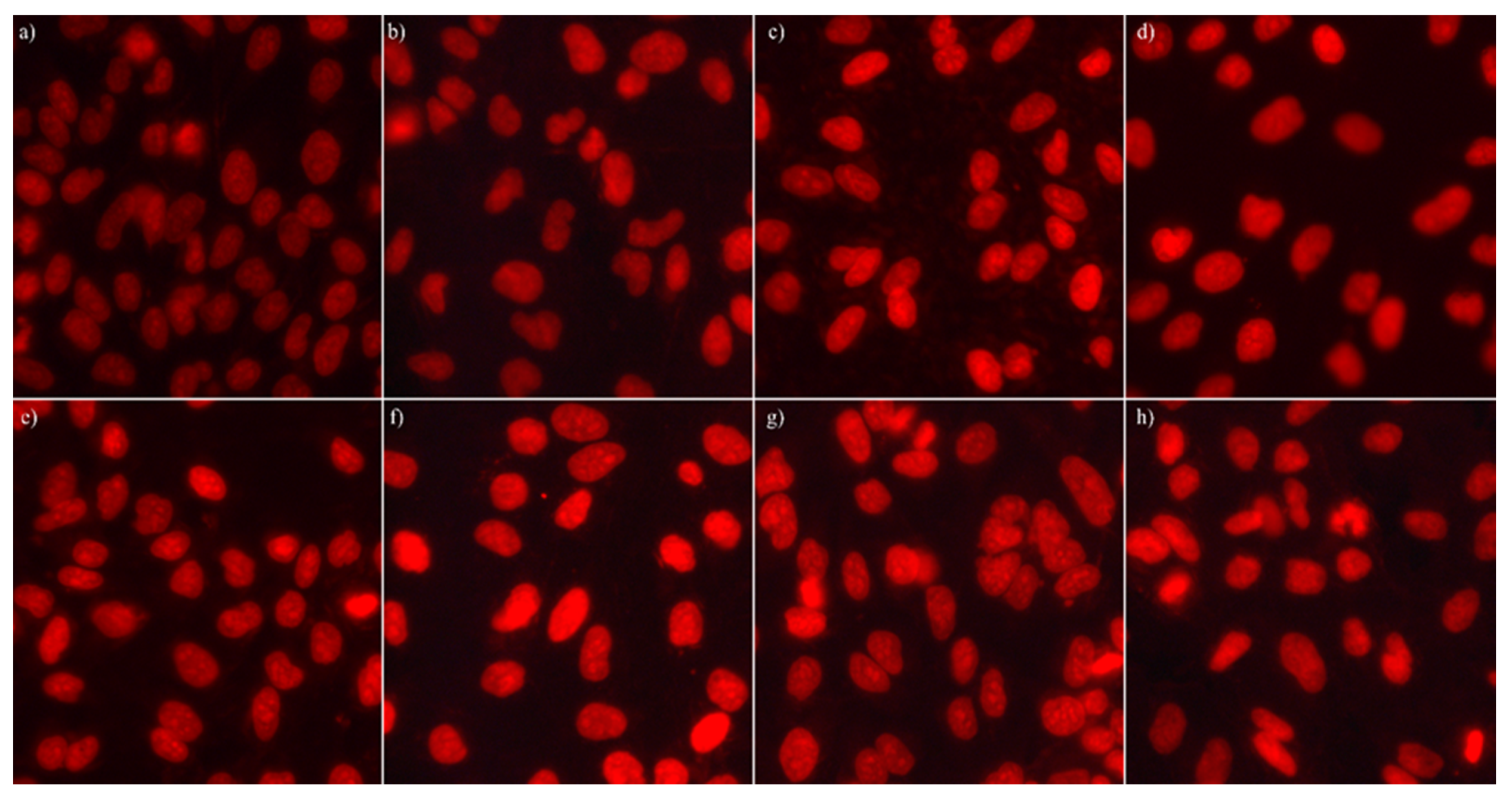 Coatings 11 00120 g017 Coatings 11 00120 g017