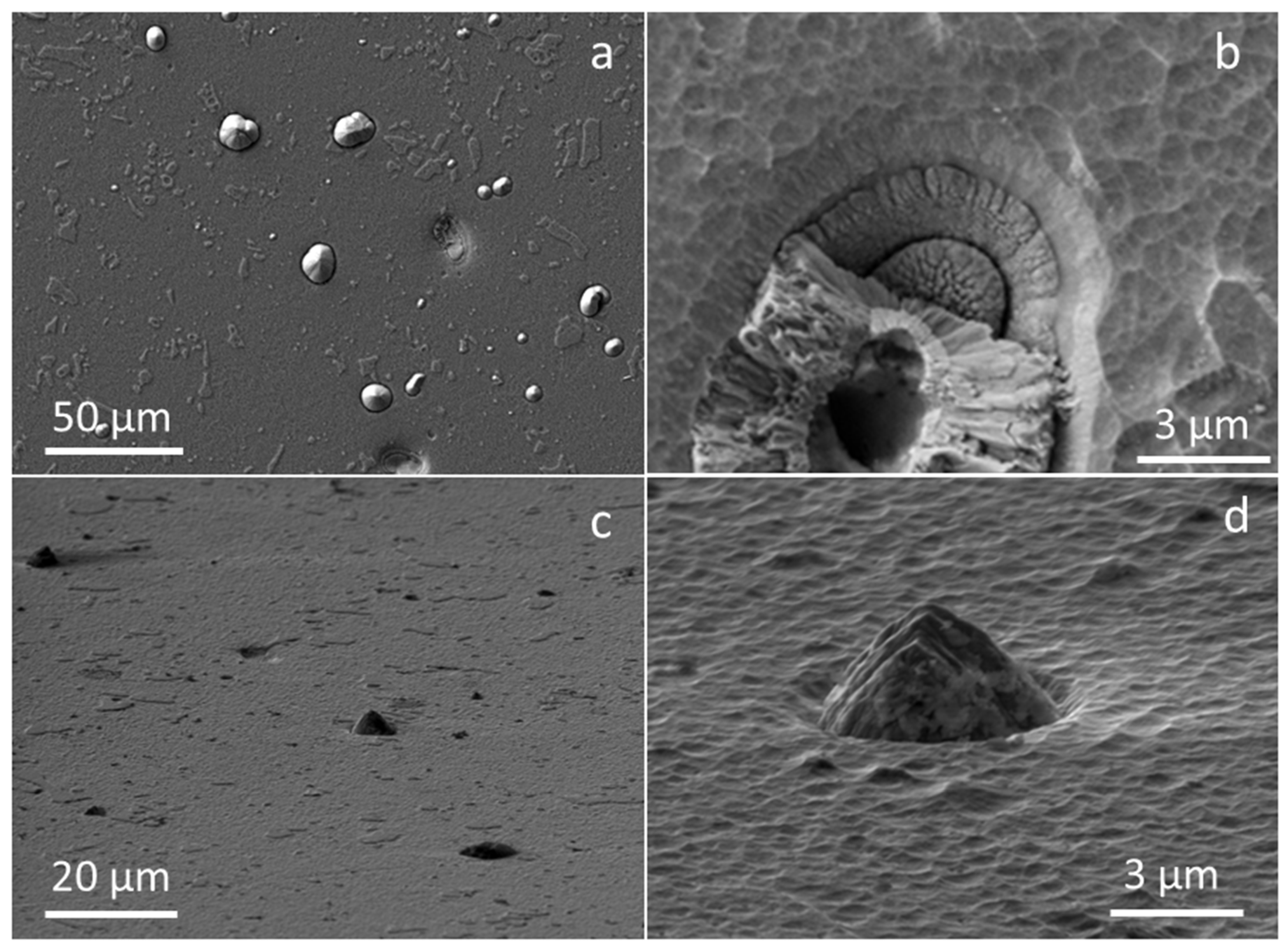 Coatings 11 00123 g001 Coatings 11 00123 g001