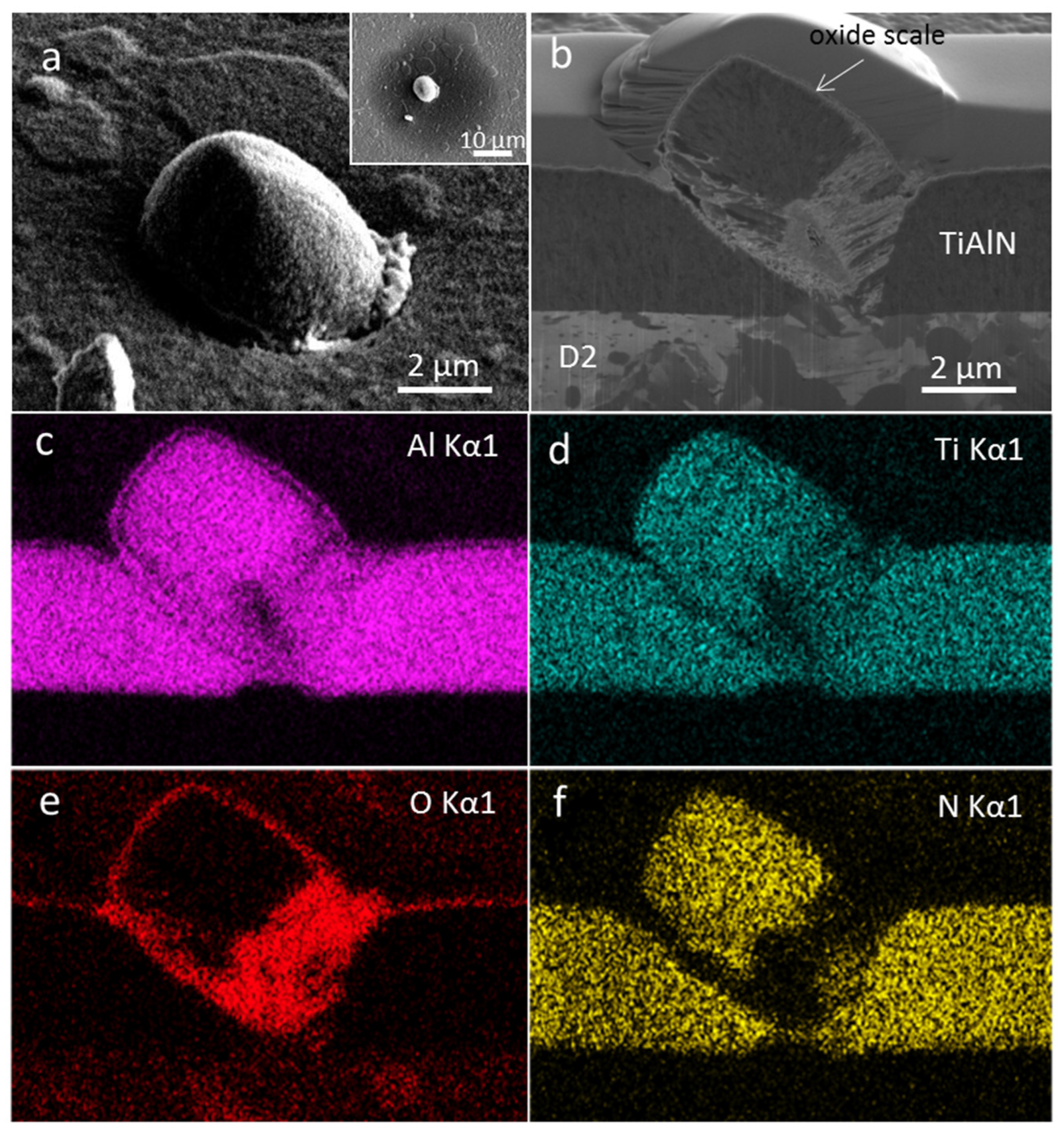 Coatings 11 00123 g006 Coatings 11 00123 g006